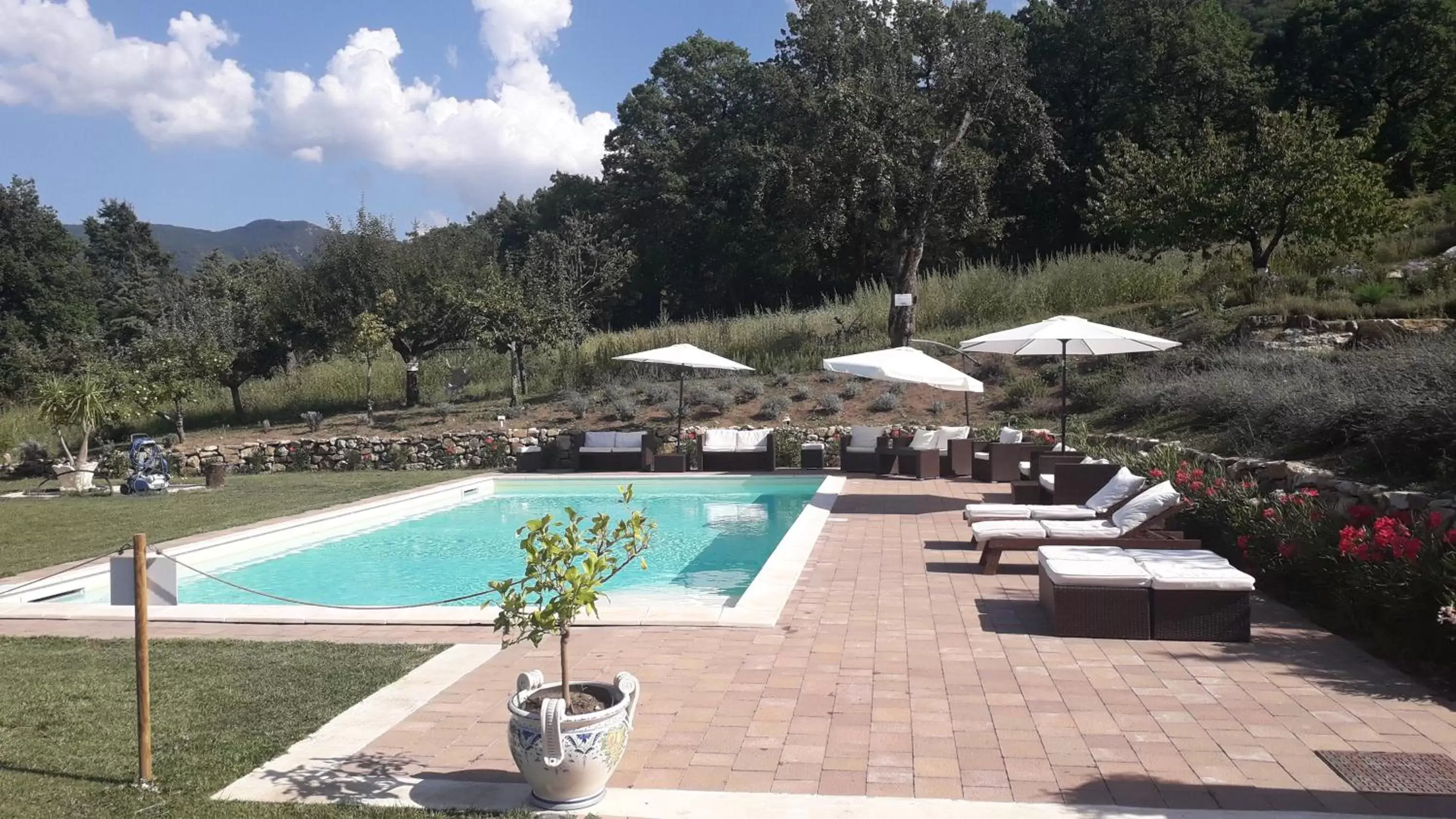 Swimming Pool in Masseria boutique b&b