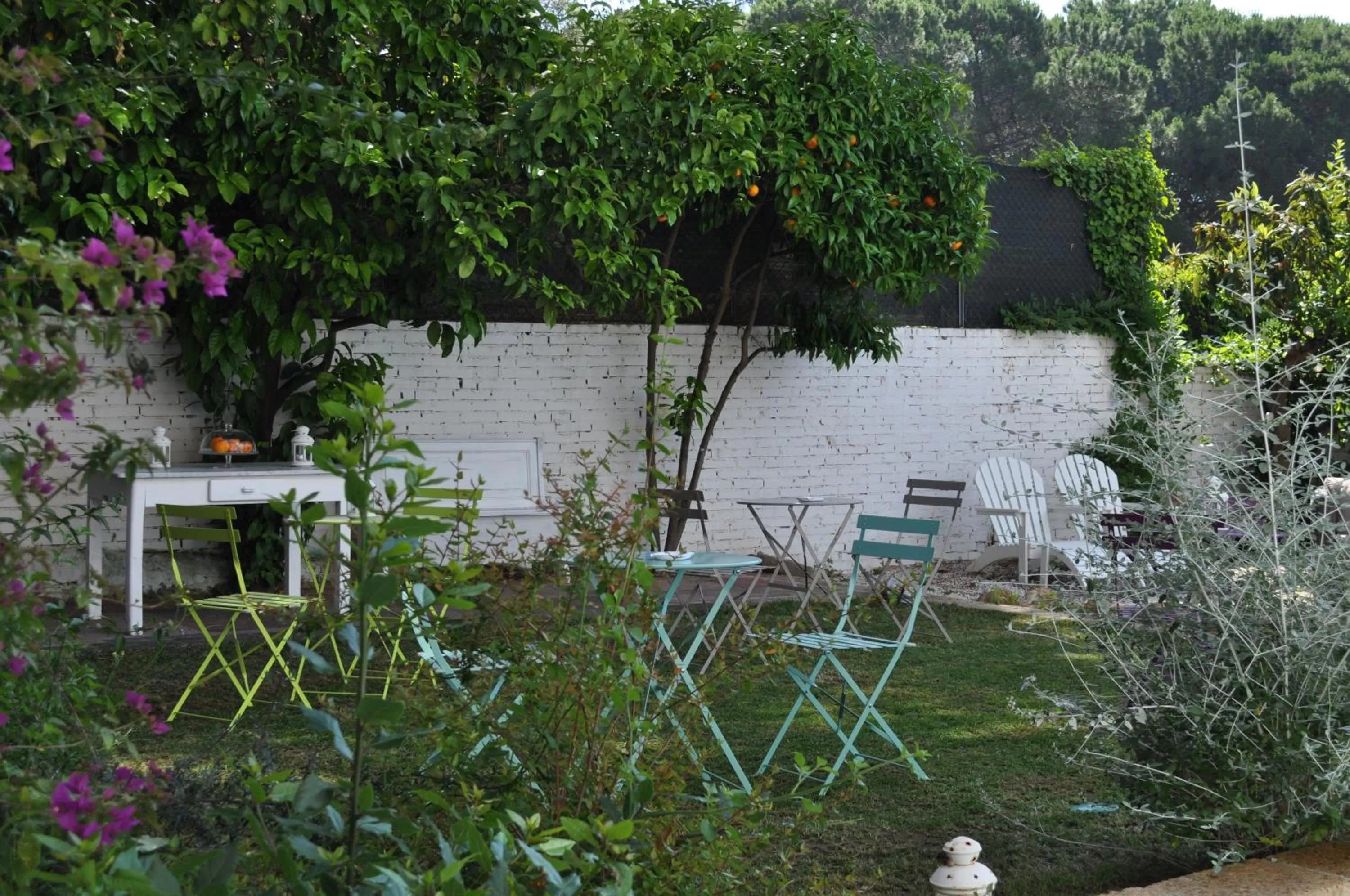 Bird's eye view in Guerrini Hotel