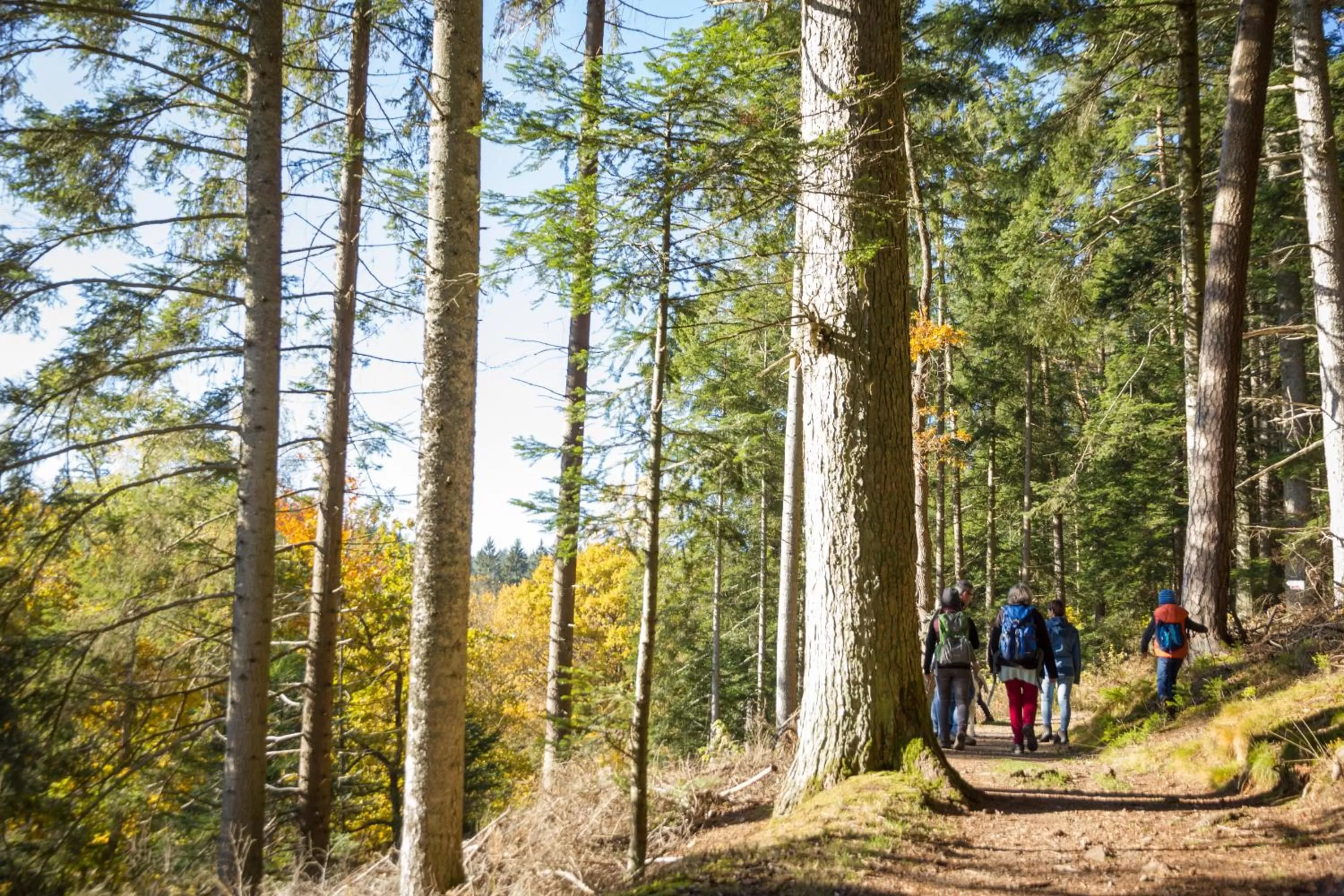 Nearby landmark in Holiday Inn - Villingen - Schwenningen by IHG