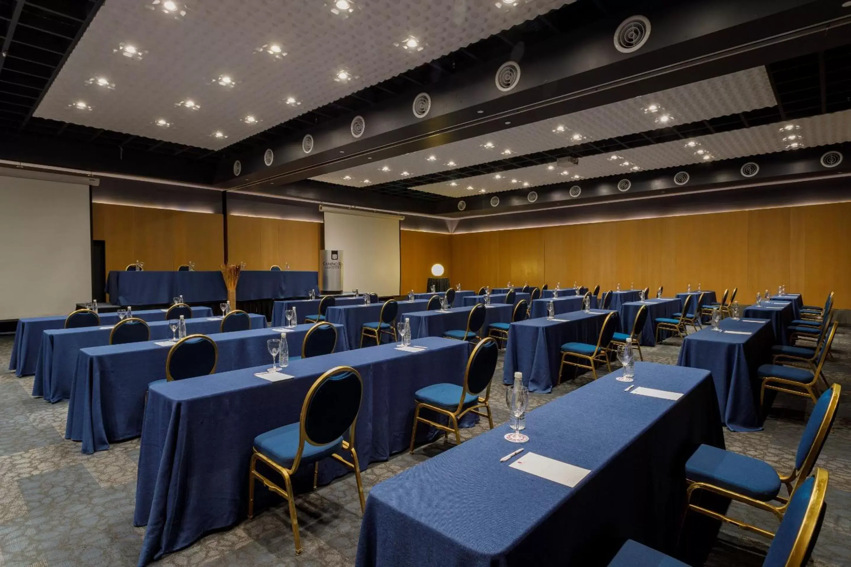 Meeting/conference room in Camino Real Aeropuerto