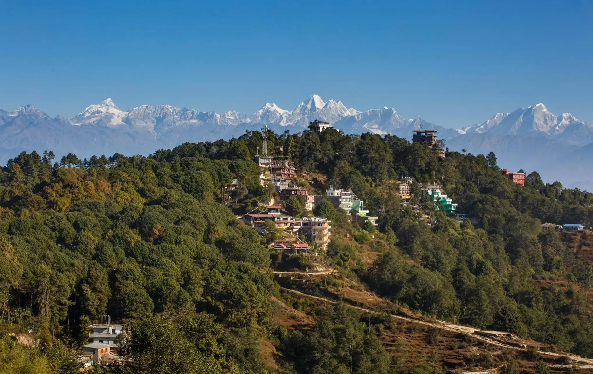 Spring in Club Himalaya, by ACE Hotels