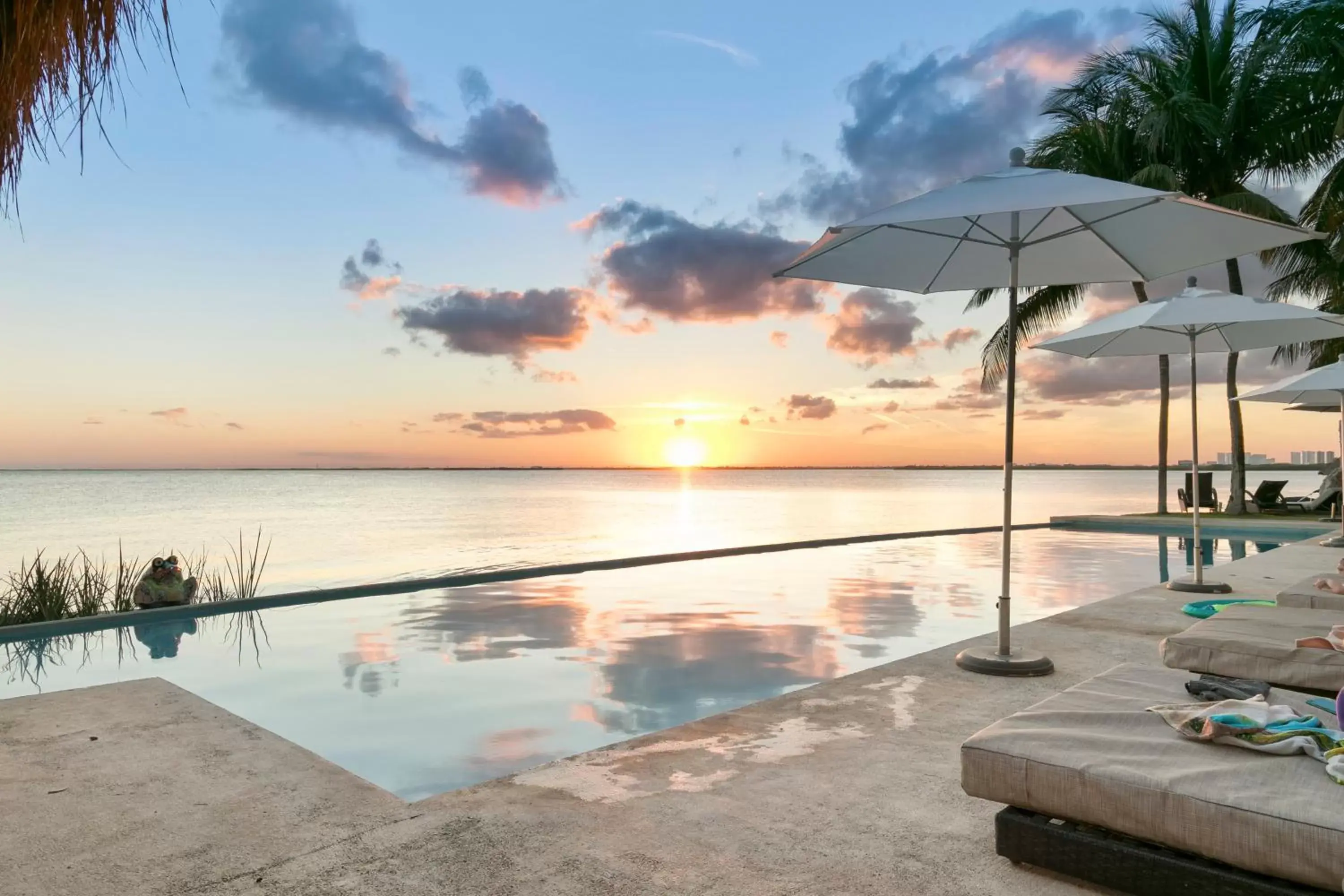 Swimming Pool in Casa Tortugas Boutique Hotel - CANCUN Hidden Gem