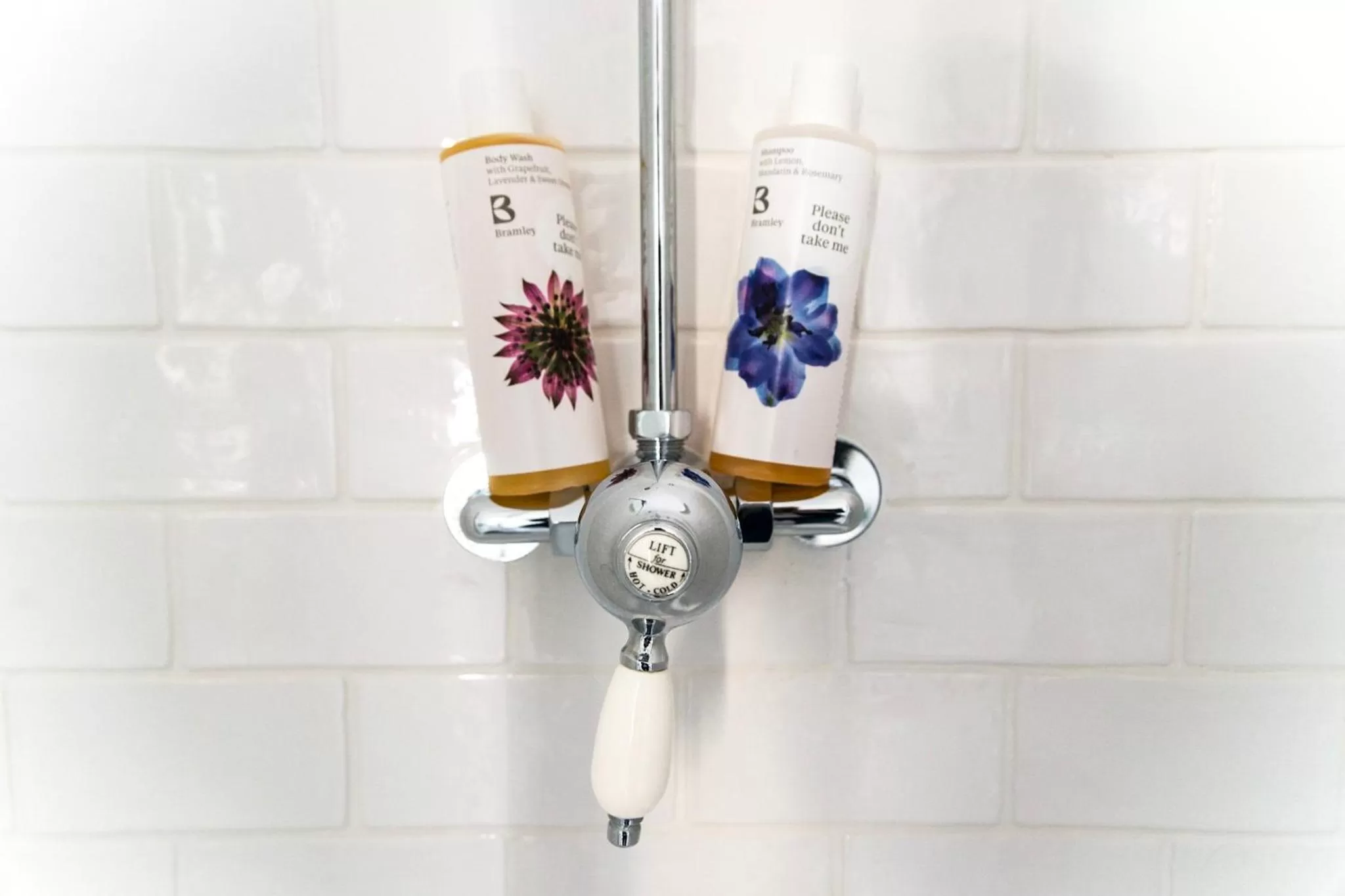 Bathroom in The Black Fox