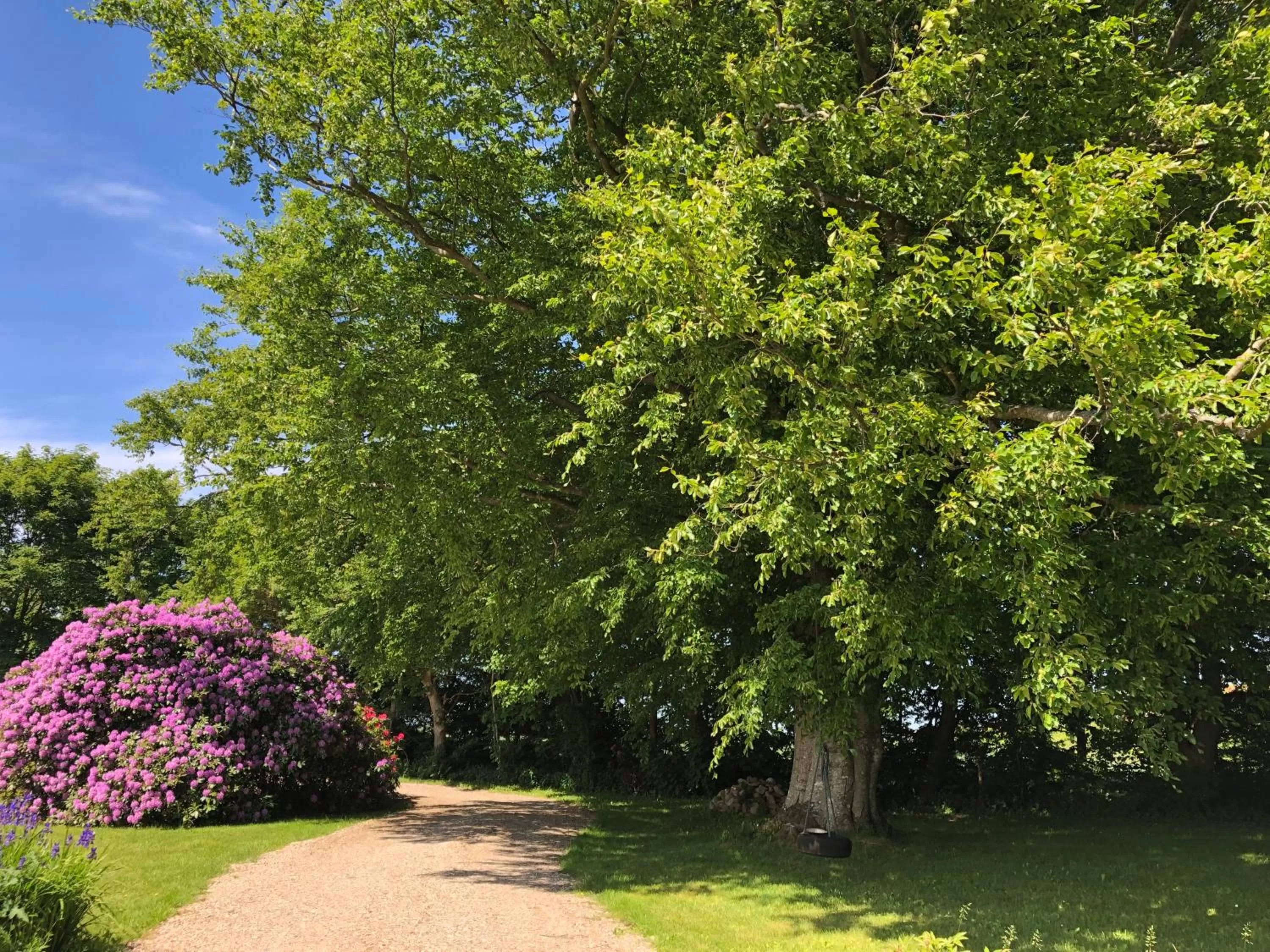 Garden view in Landevejens B&B Holstebro