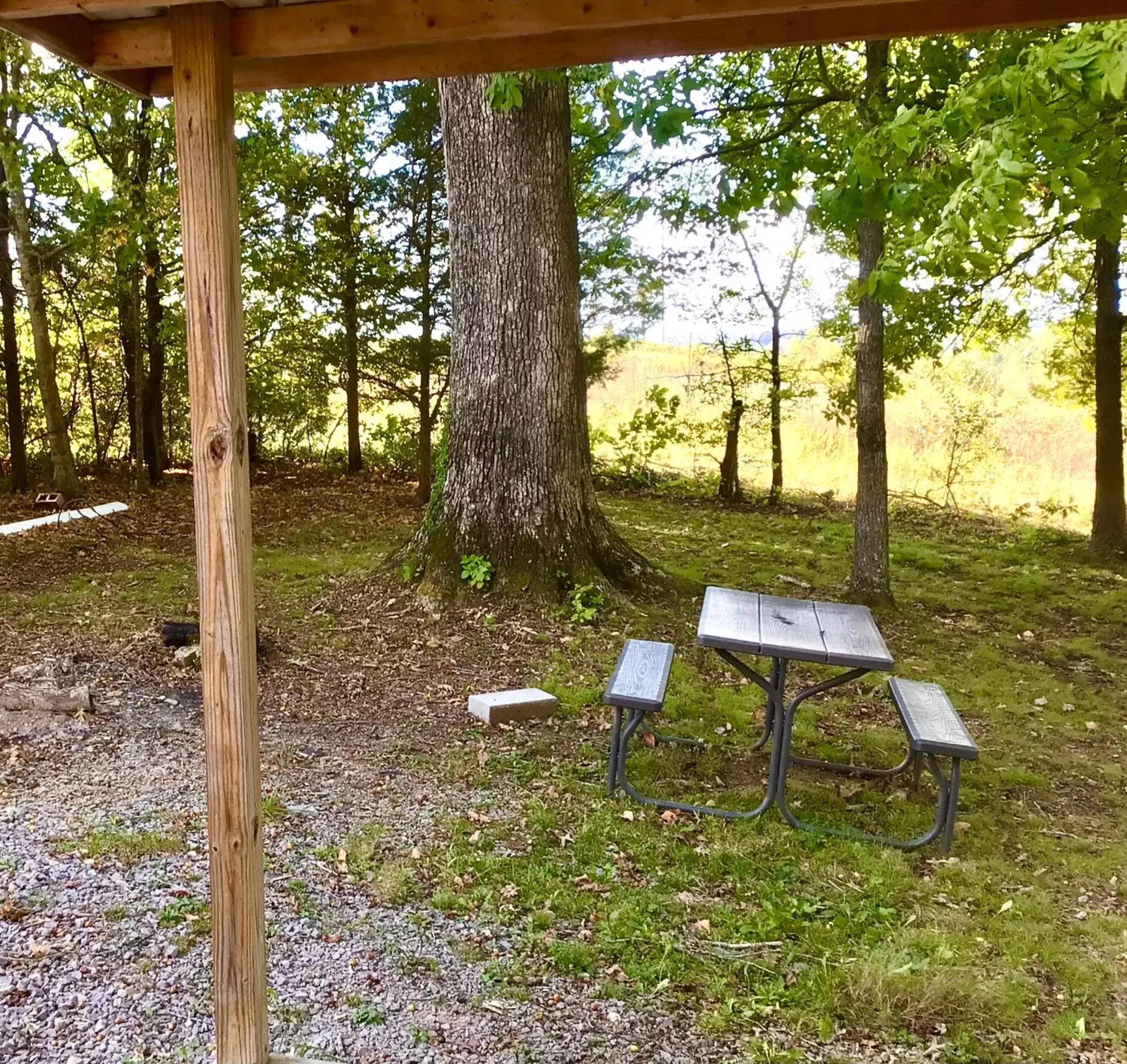 View (from property/room) in Kozy Haven Log Cabin Rentals