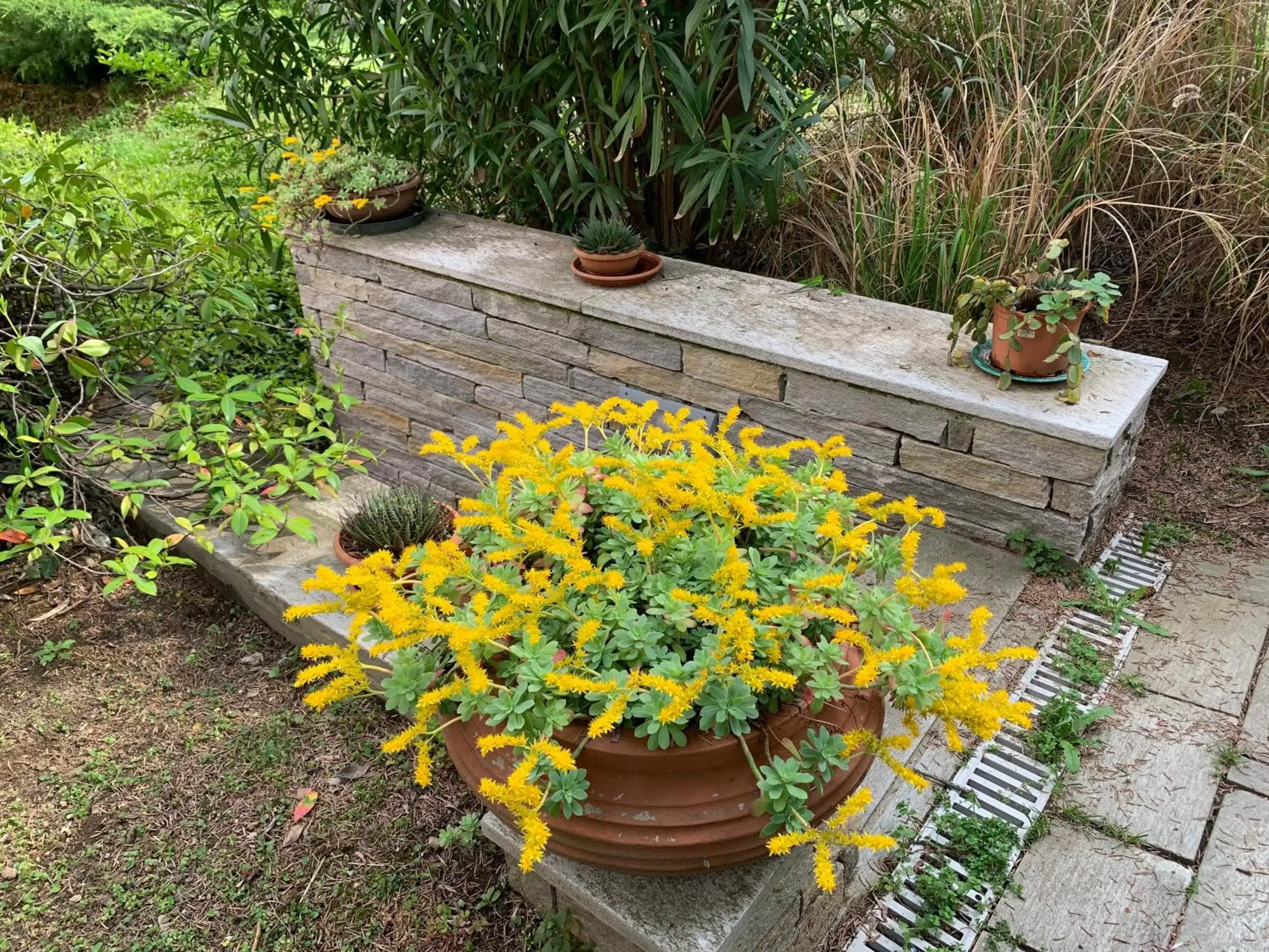 Garden in CASABELLA-LAGO MAGGIORE