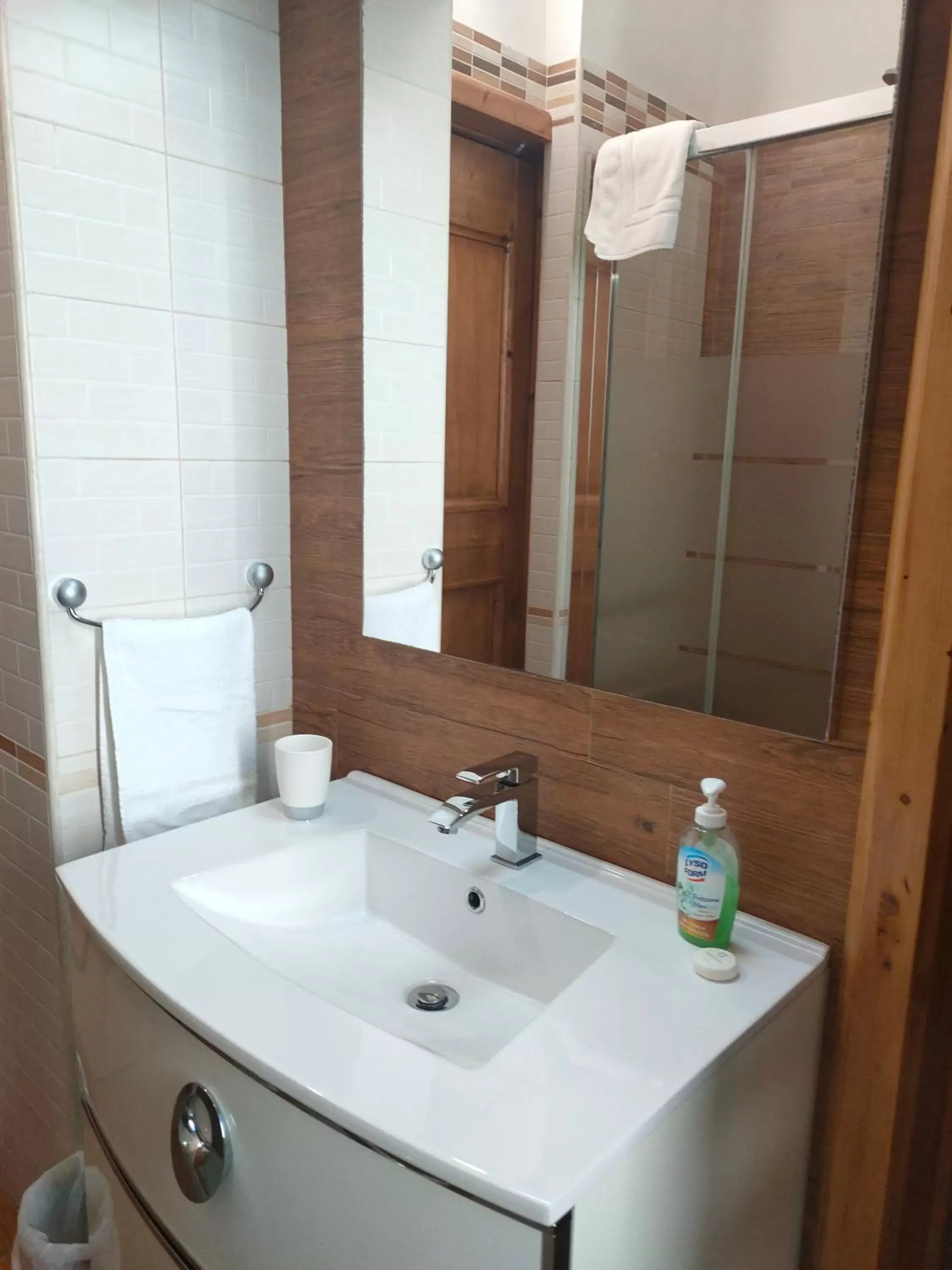 Bathroom in Family House