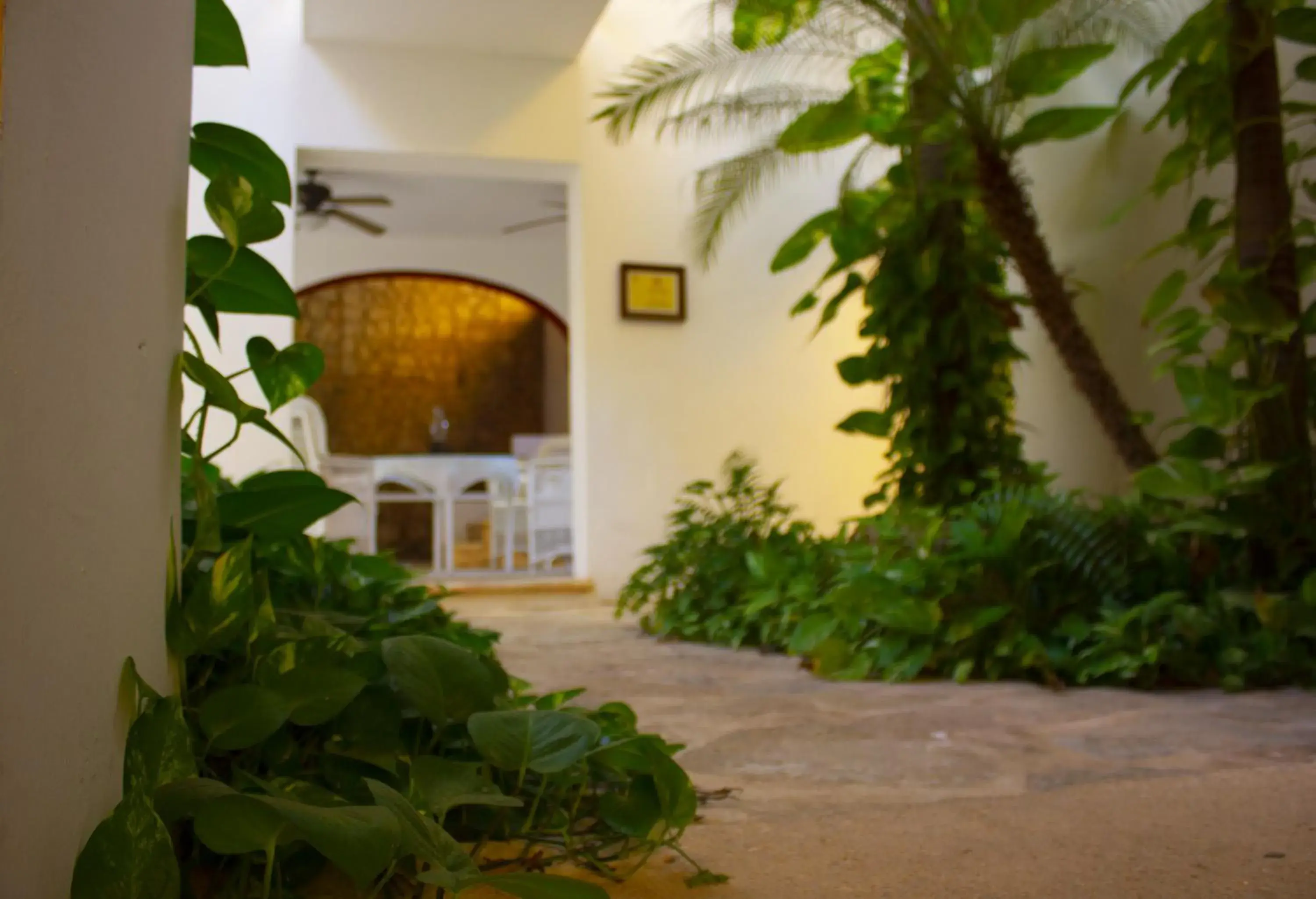 Decorative detail in Hotel Boutique Casa Don Gustavo