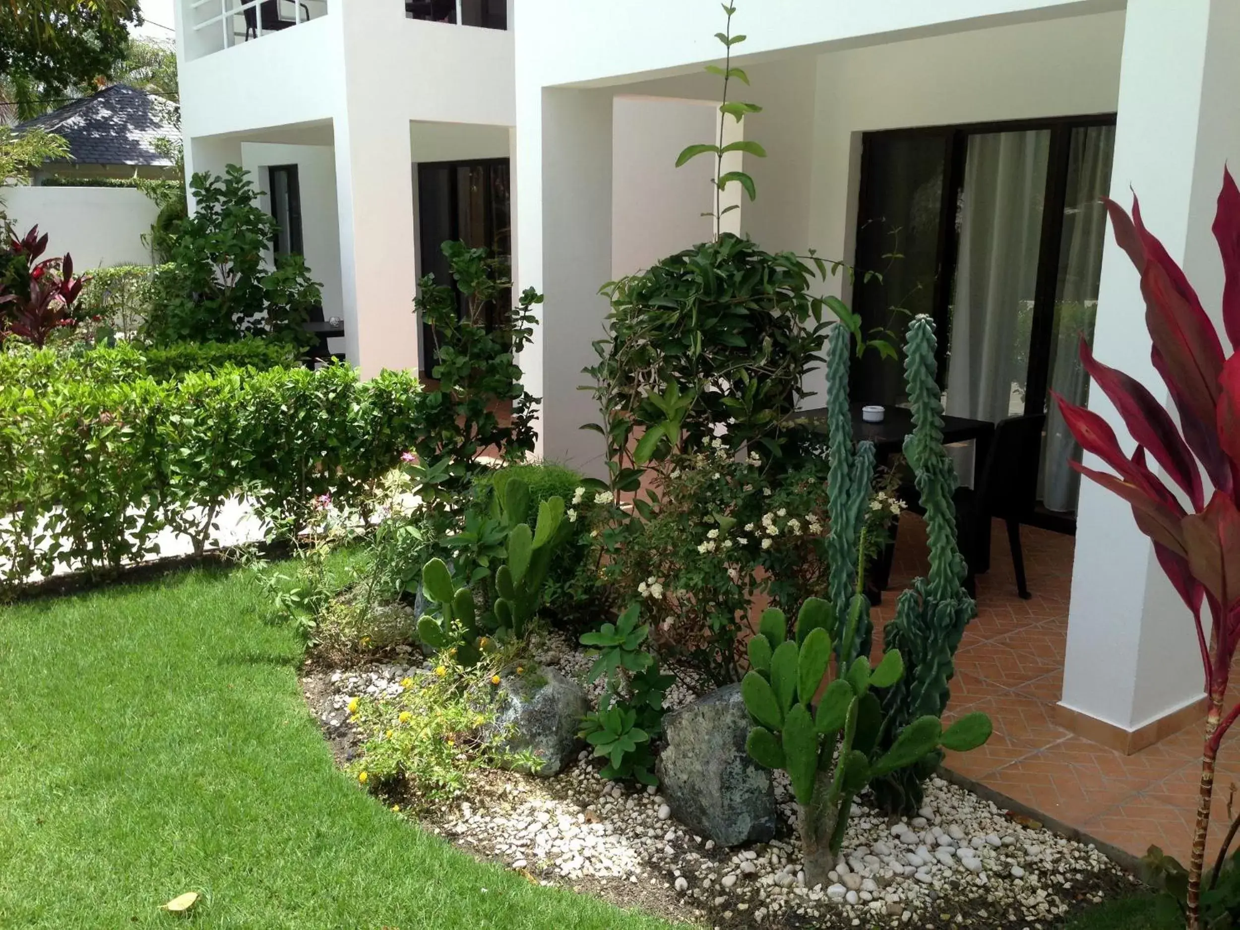 Garden in Coral Blanco Hotel