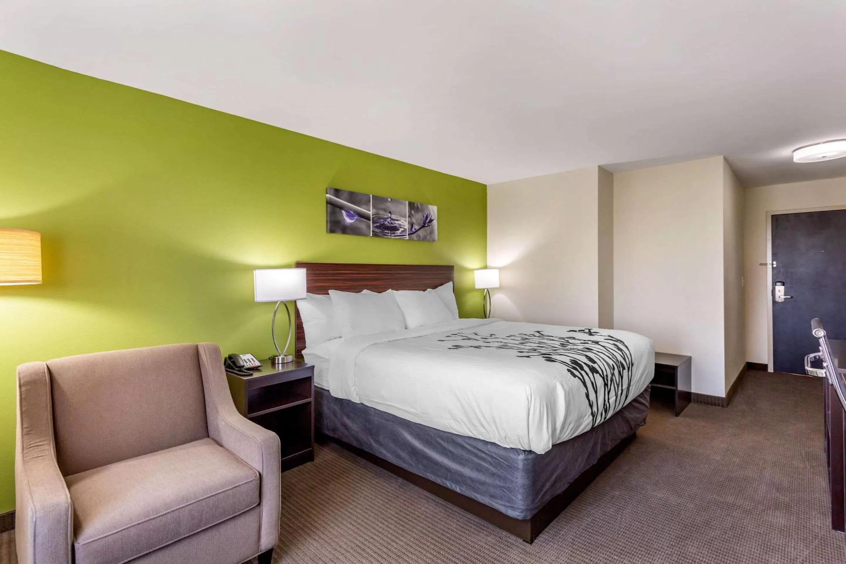 Photo of the whole room, Bed in Sleep Inn & Suites Gallatin - Nashville Metro