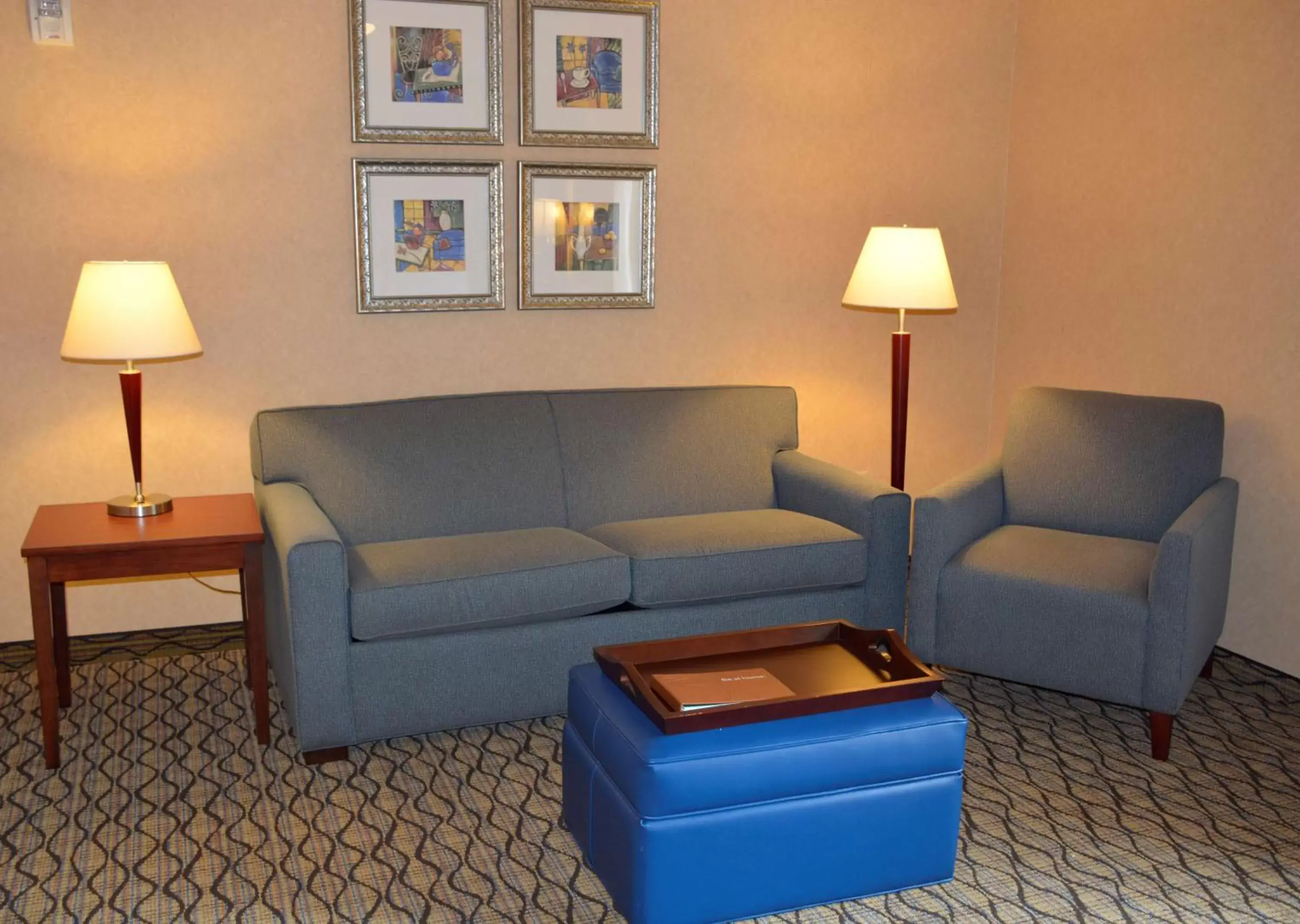 Living room, Seating Area in Homewood Suites by Hilton Brighton