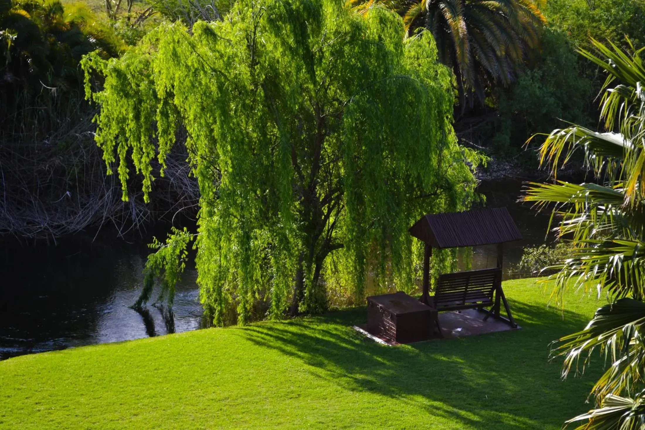 Natural landscape, Garden in Riverside Guest Lodge