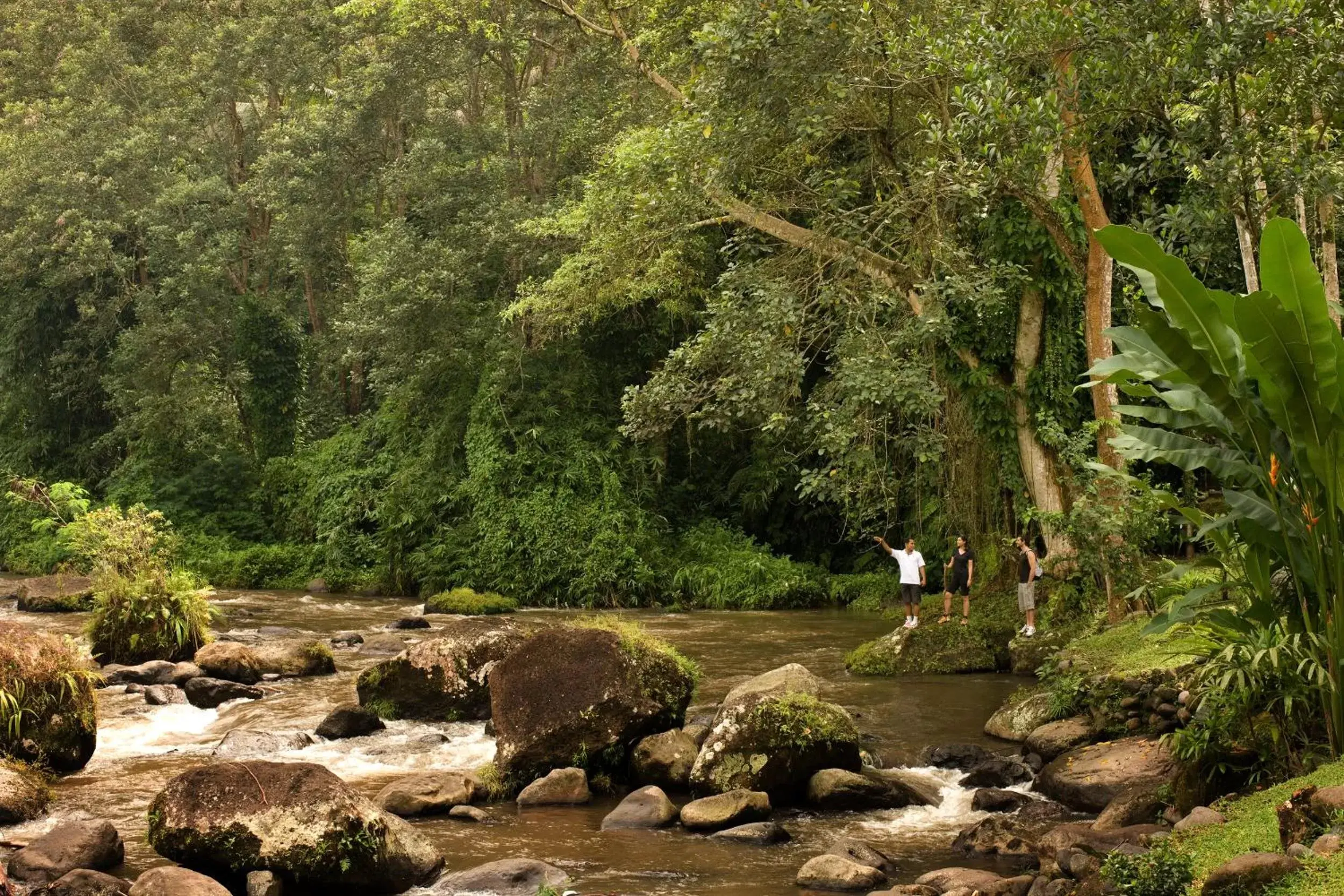 Natural Landscape in The Royal Pita Maha