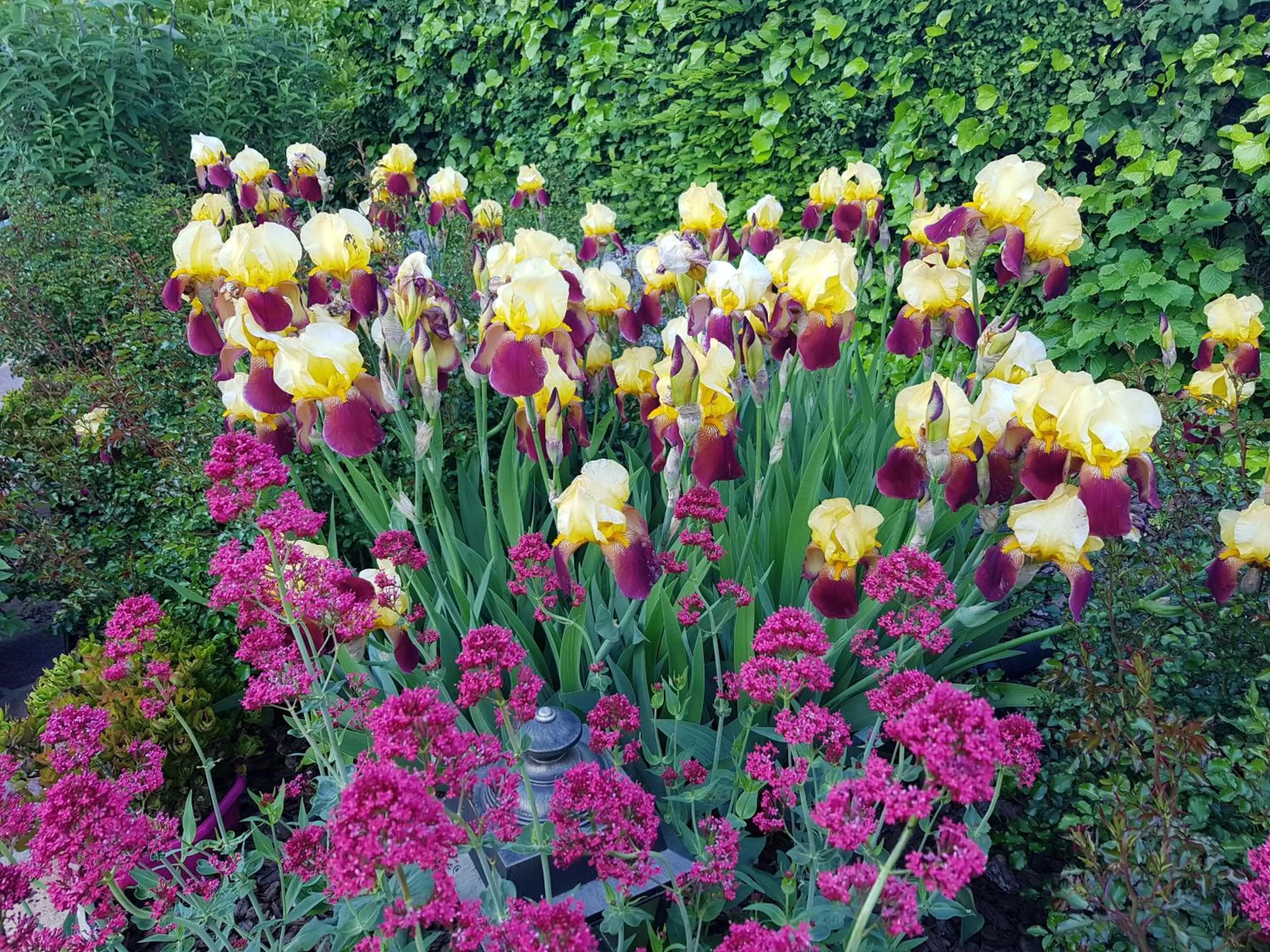Spring, Garden in Hôtel-Logis La Coraline