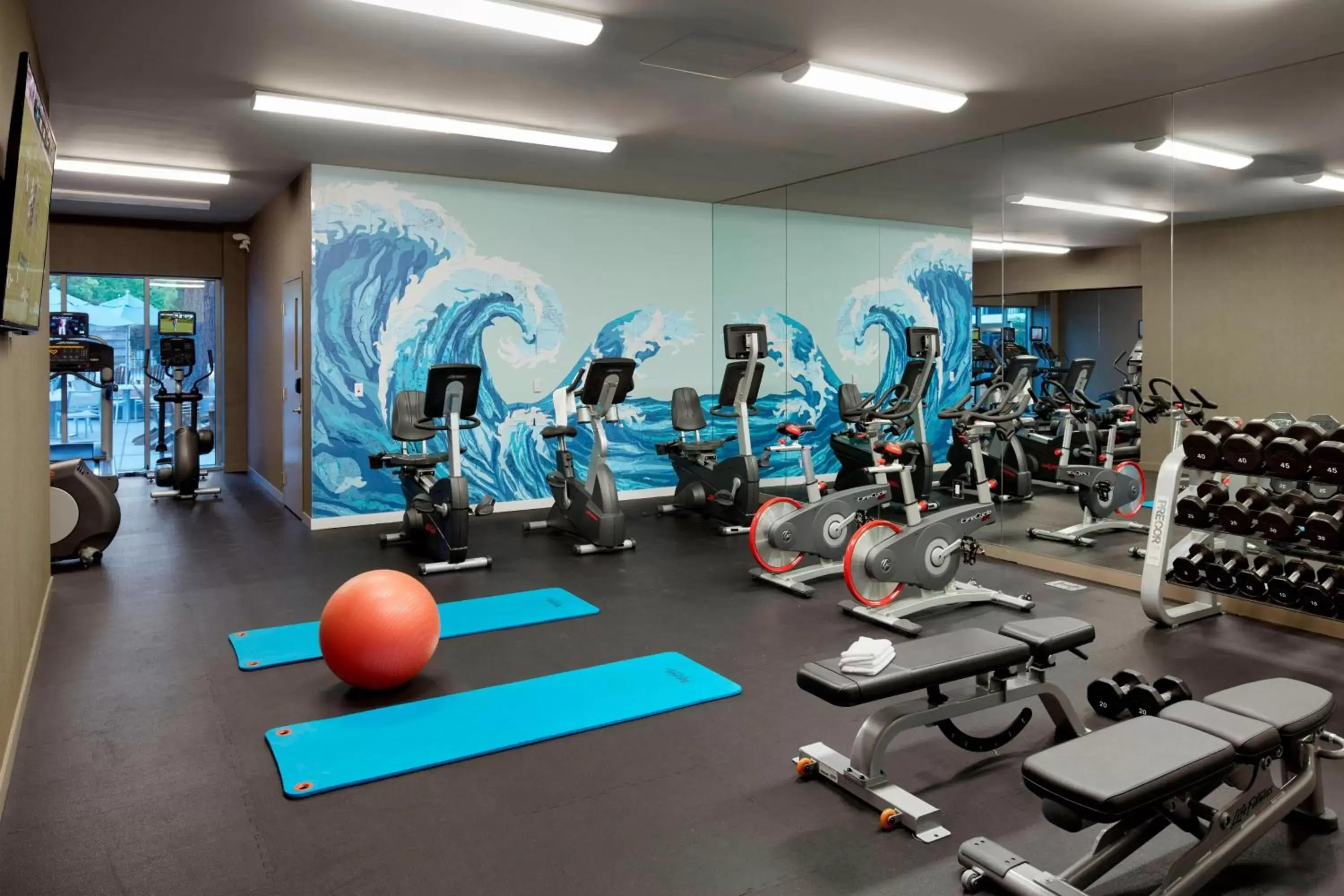 Fitness centre/facilities, Fitness Center/Facilities in Hotel Paradox, Autograph Collection