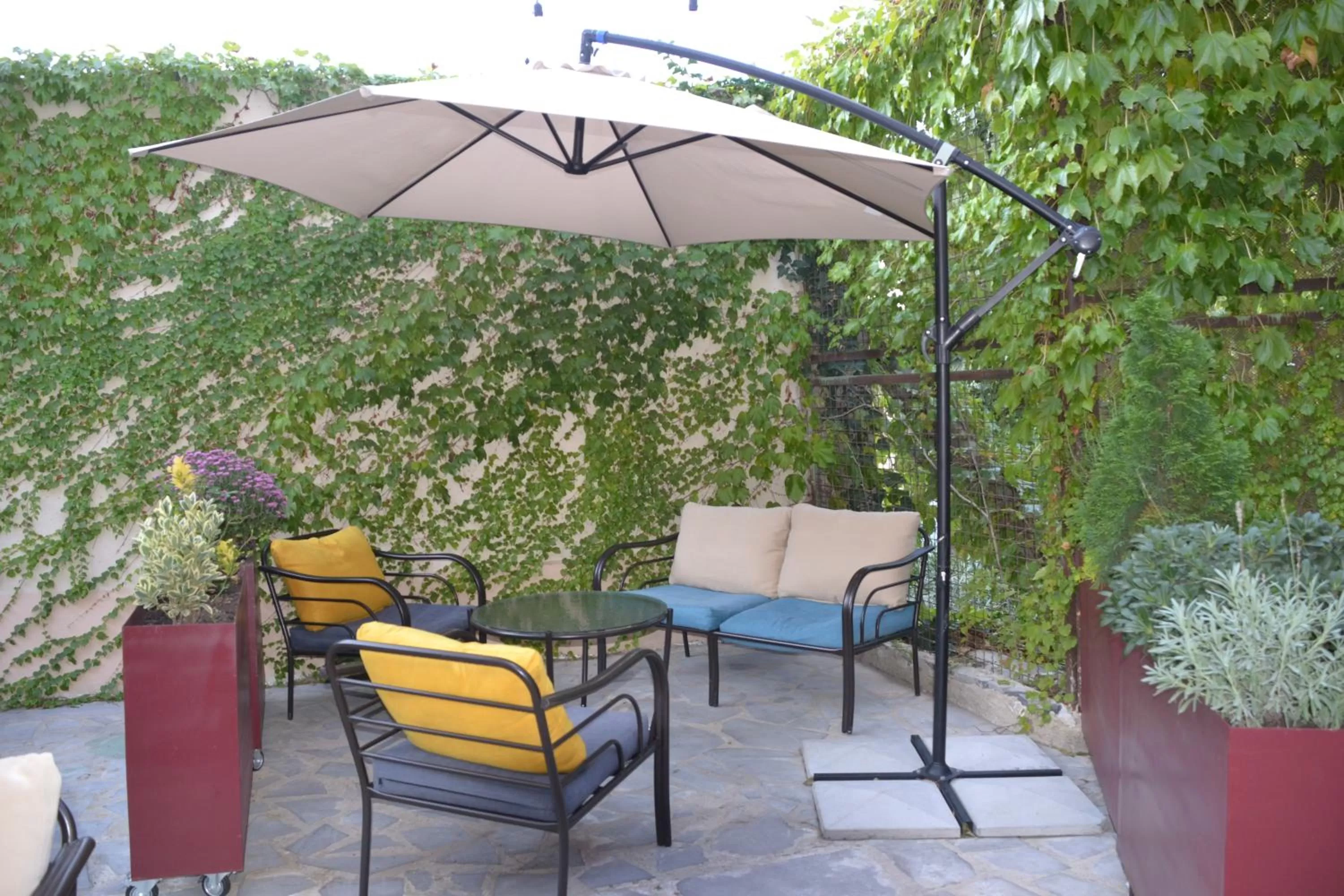 Restaurant/places to eat in Gvino Minda