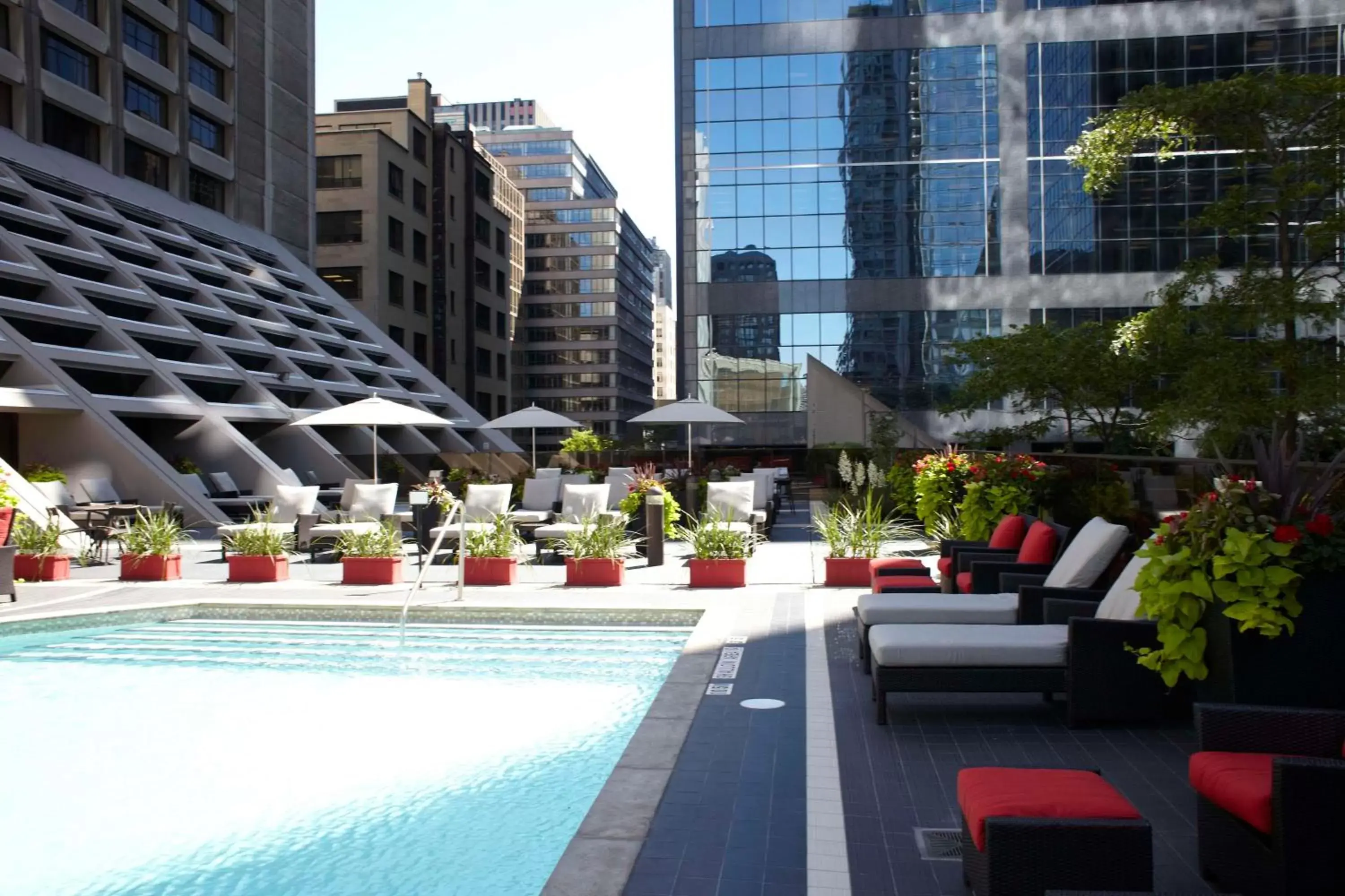 Pool view, Swimming Pool in Hilton Toronto