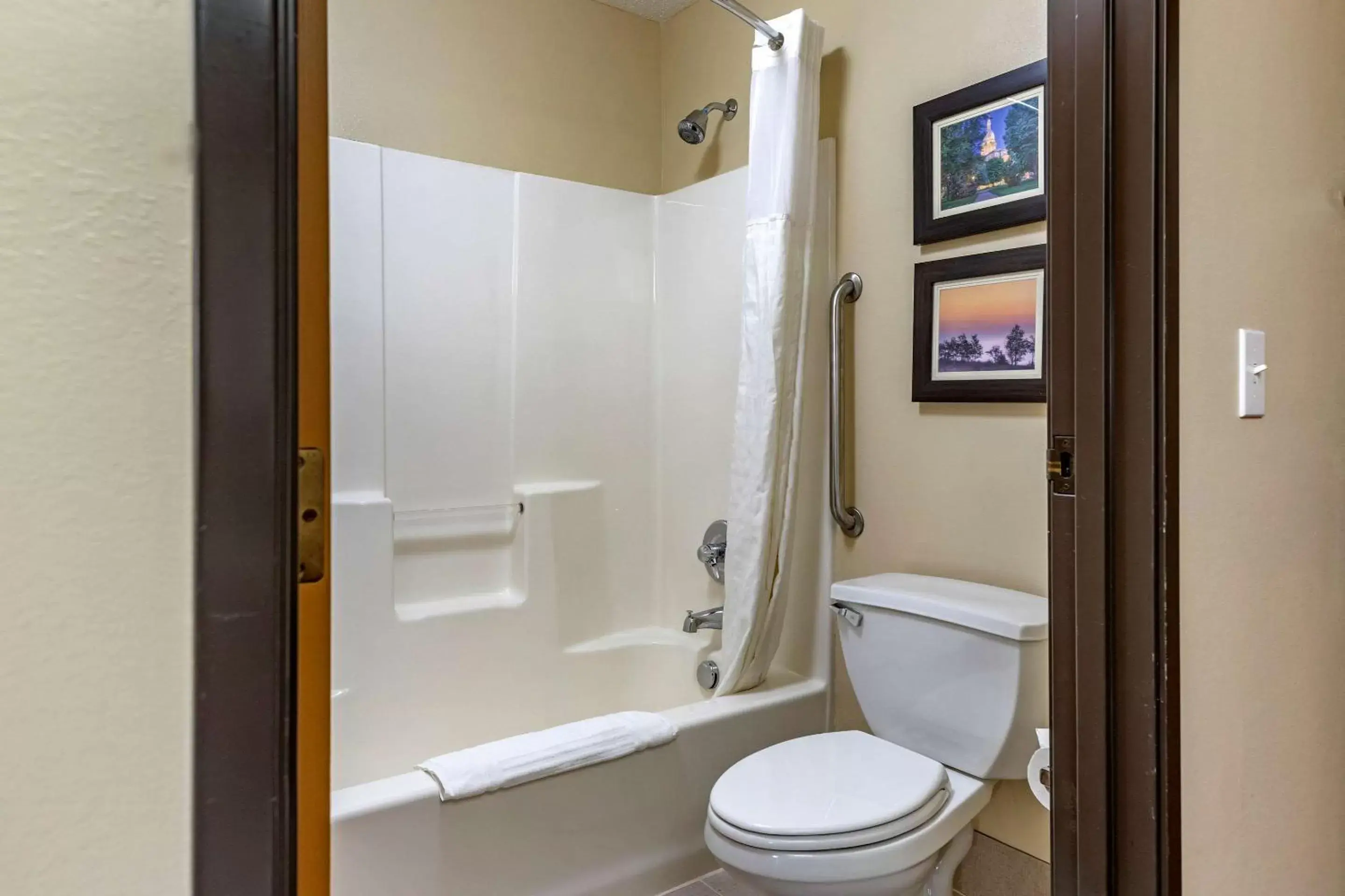 Bathroom in Comfort Inn & Suites Dimondale