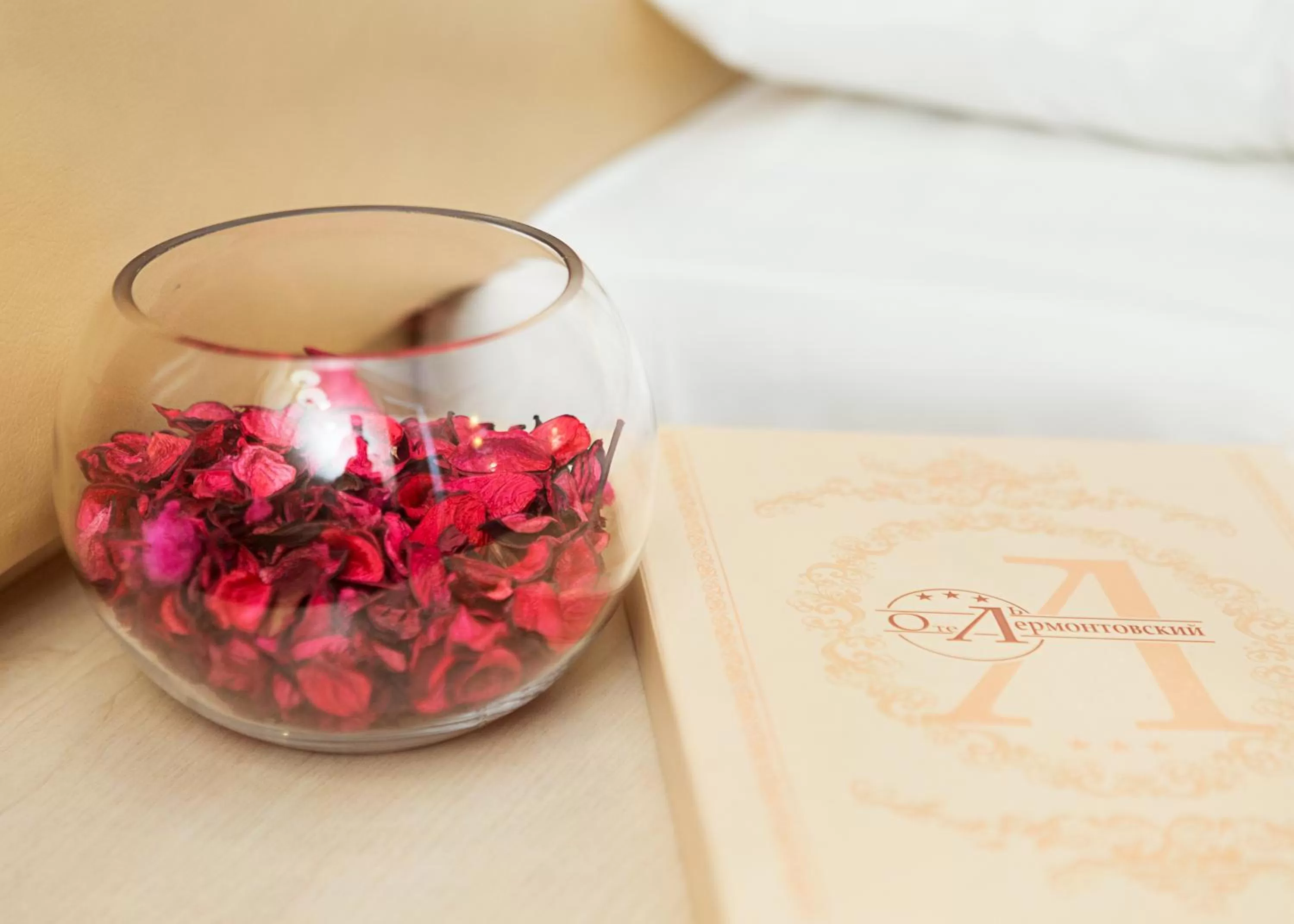 Text overlay in Lermontovskiy Hotel