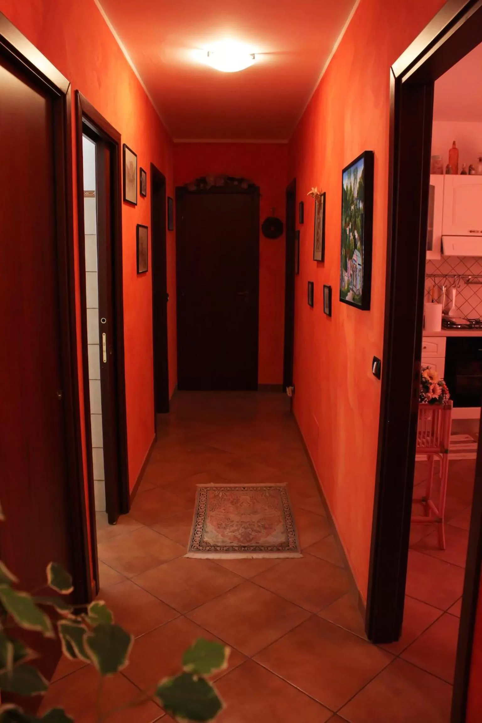 Bed and breakfast Agrumi in terrazza