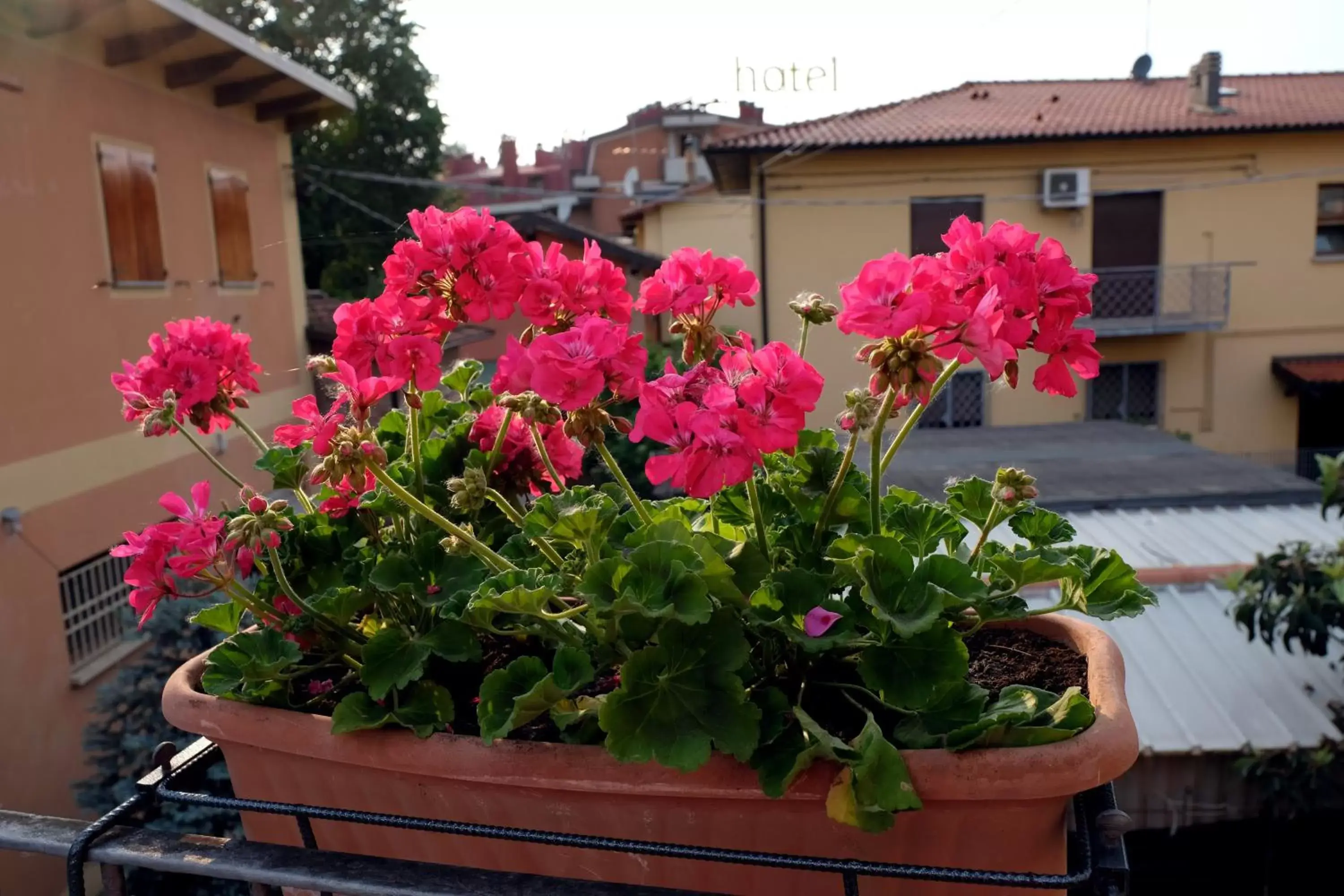 B&B "Il Cantastorie" - Casa Molinari-Boldrini