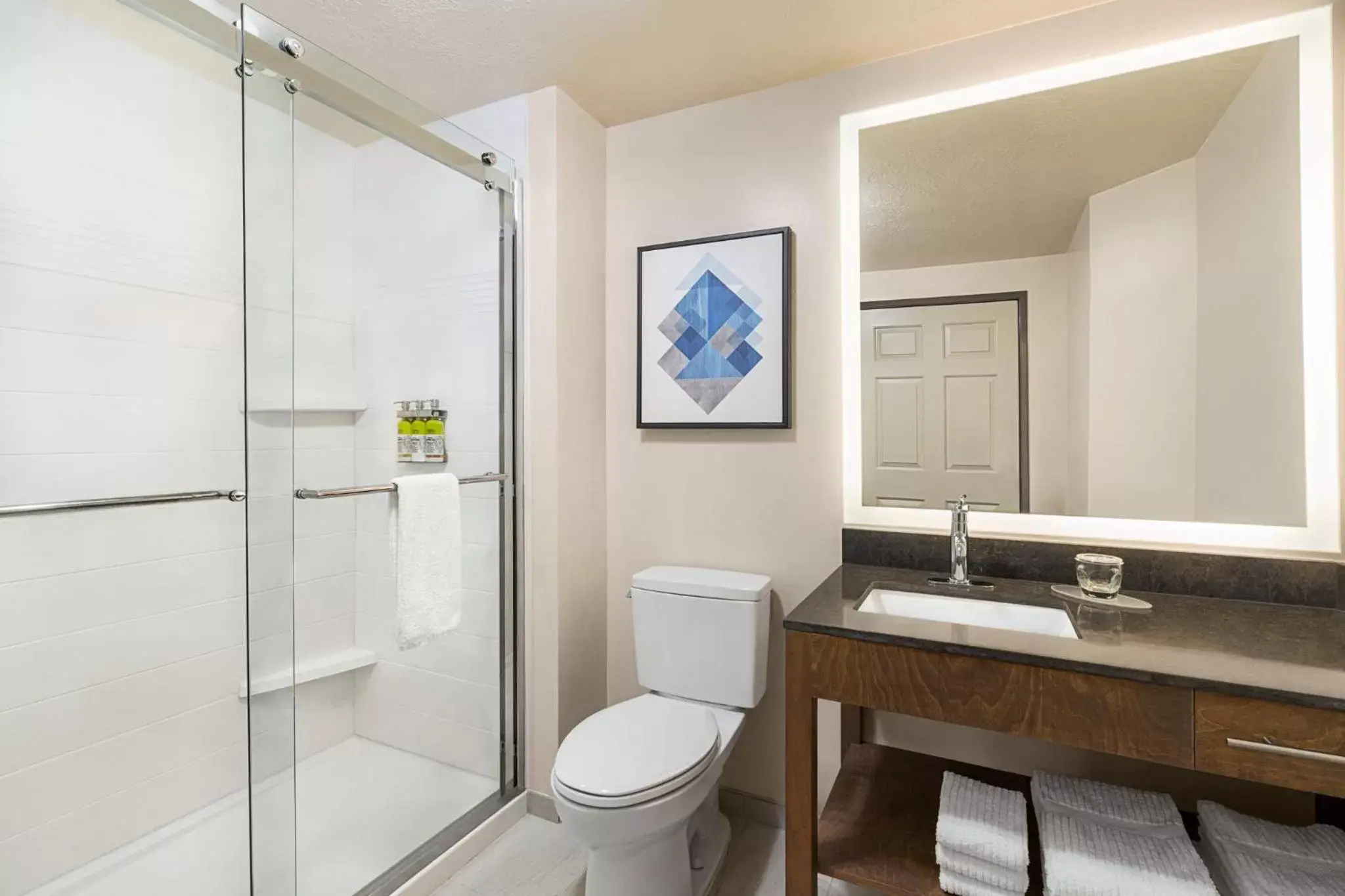 Bathroom in Candlewood Suites Boise-Meridian, an IHG Hotel