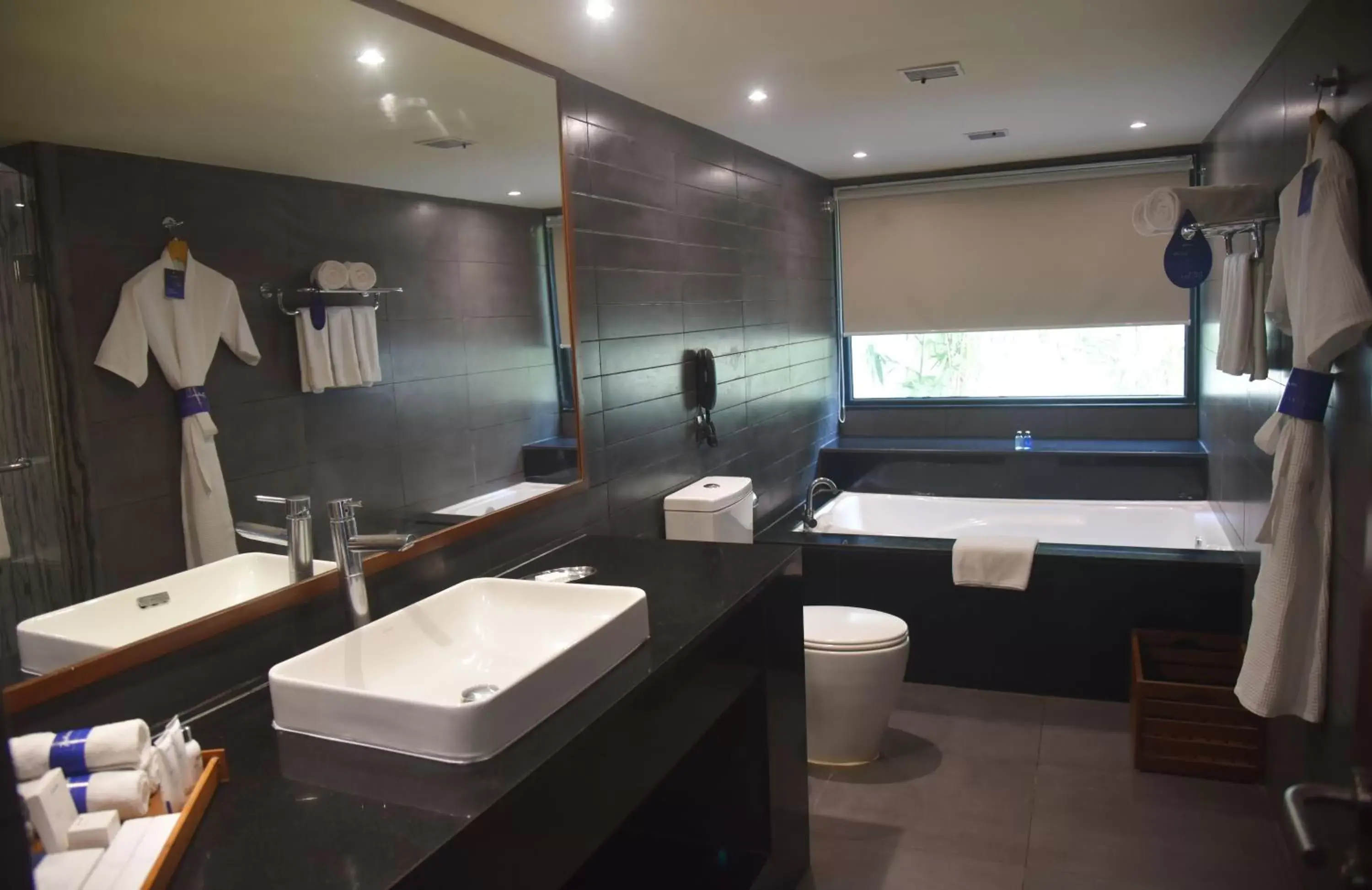 Bathroom in Radisson Blu Resort & Spa Alibaug