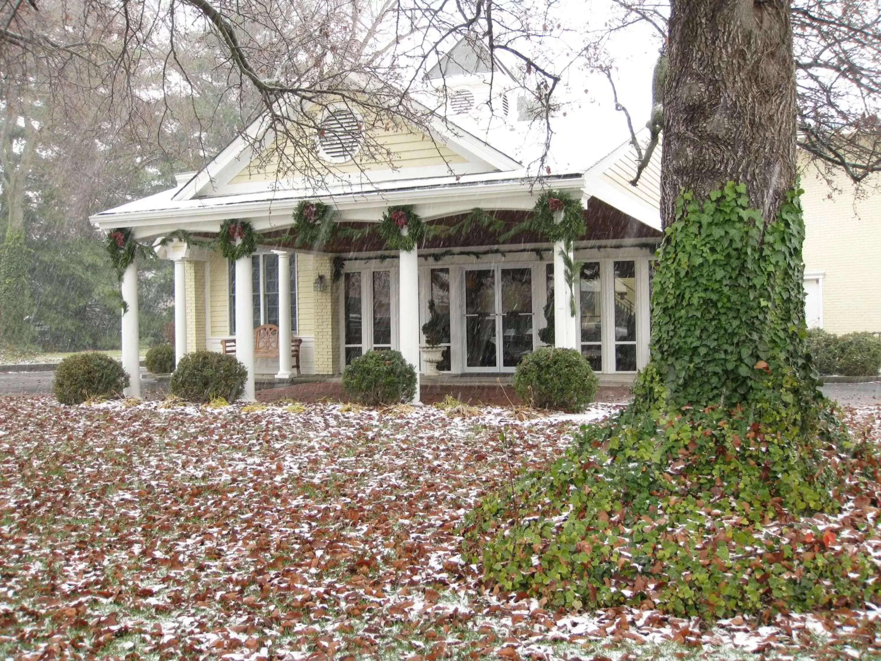 Winter, Property Building in Kirkwood Inn