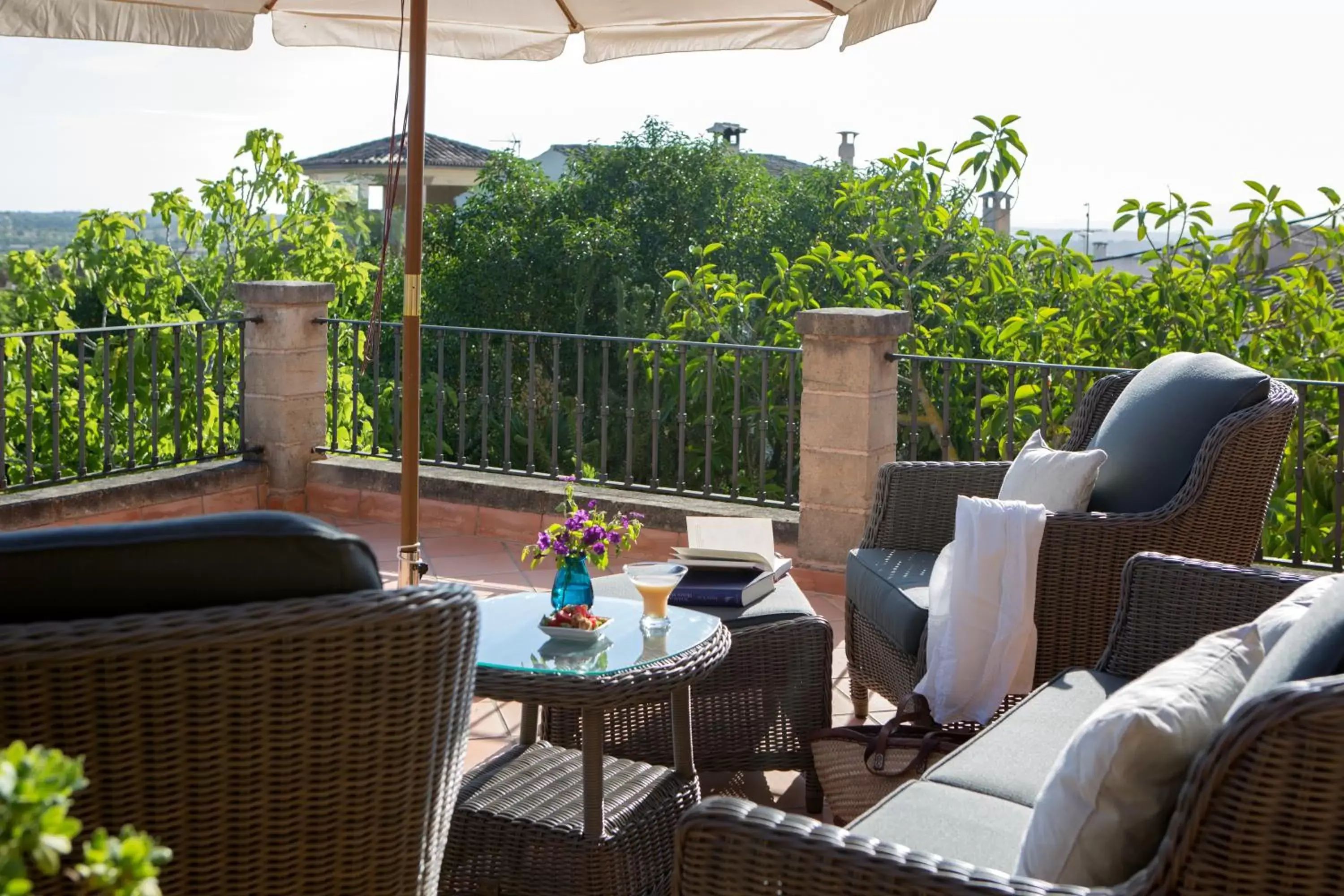 Balcony/Terrace in Casa Font i Roig