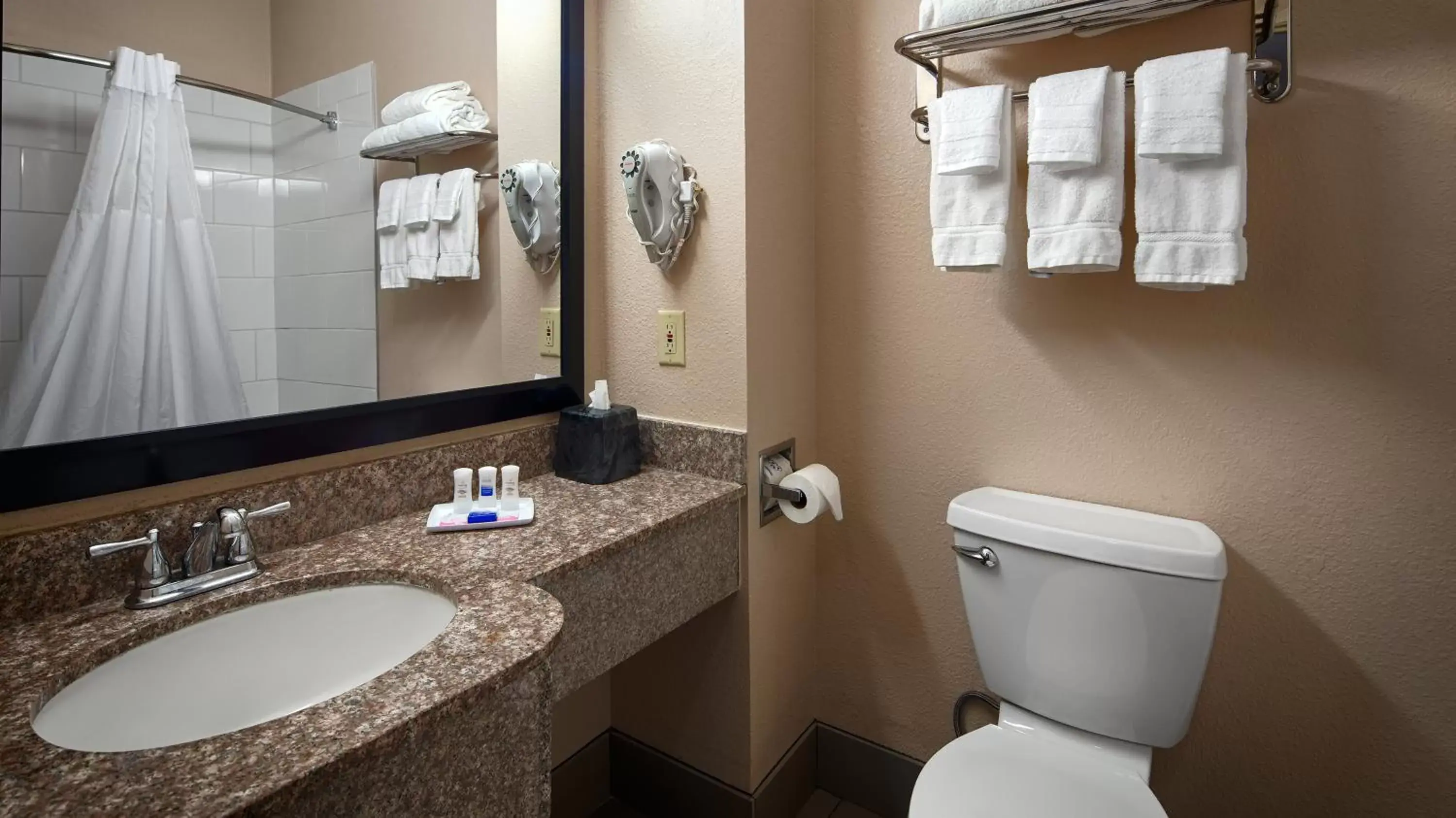 Bathroom in Best Western Plus Kalamazoo Suites