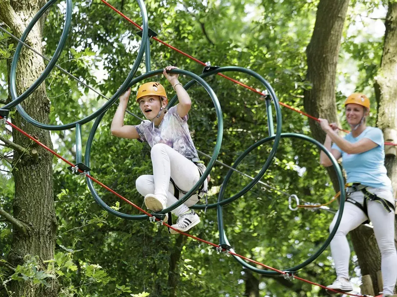 Activities, Other Animals in Hotel Het Heijderbos by Center Parcs