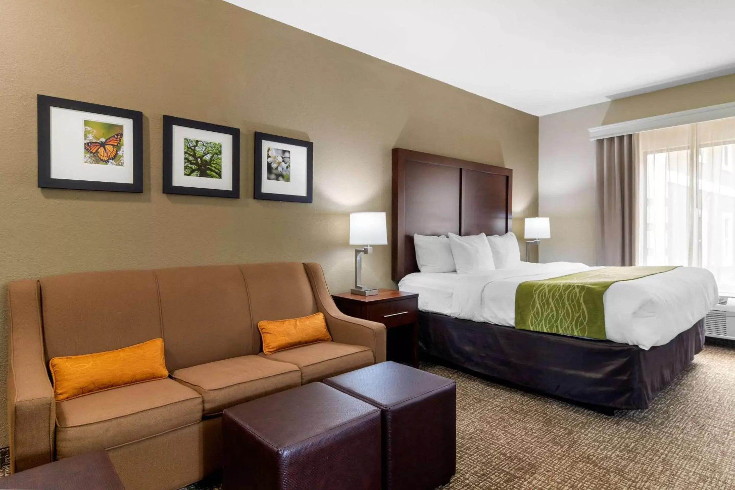 Photo of the whole room in Comfort Inn & Suites