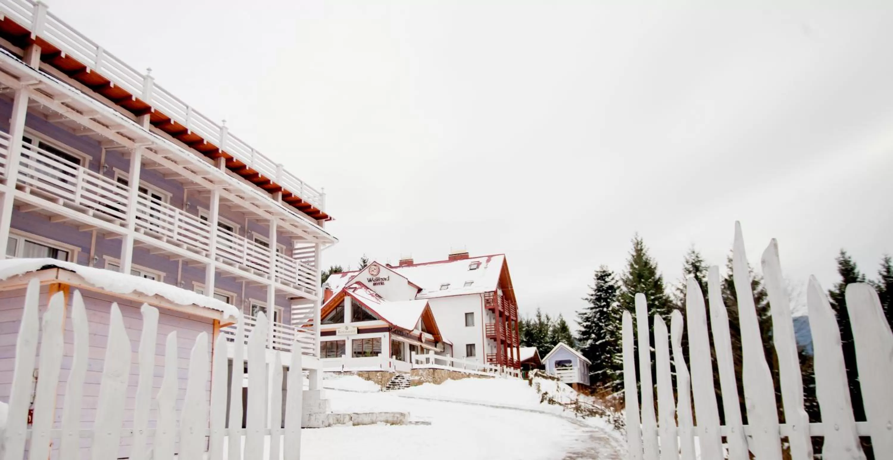 Other, Winter in Wellland Hotel