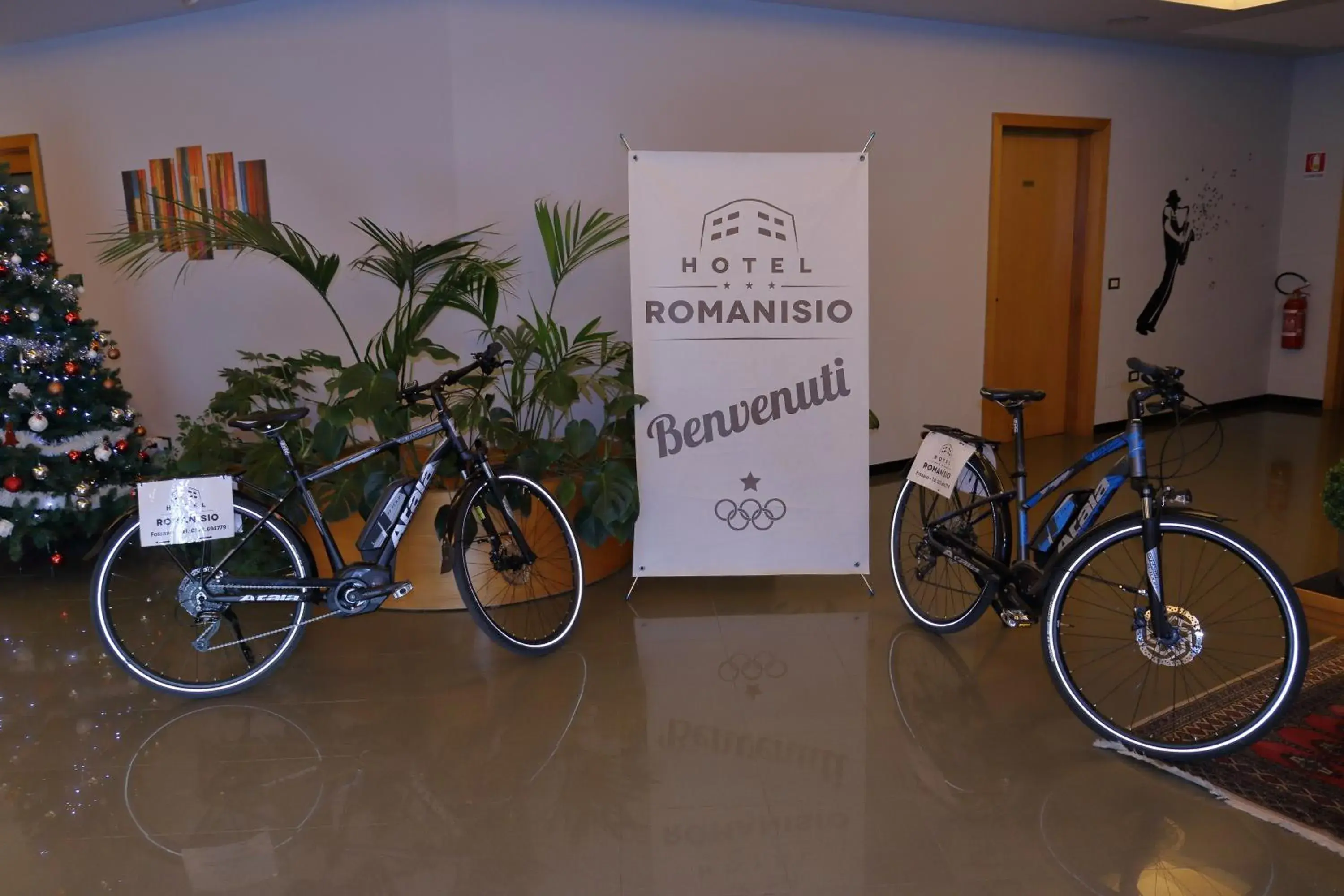 Other Activities in Hotel Romanisio