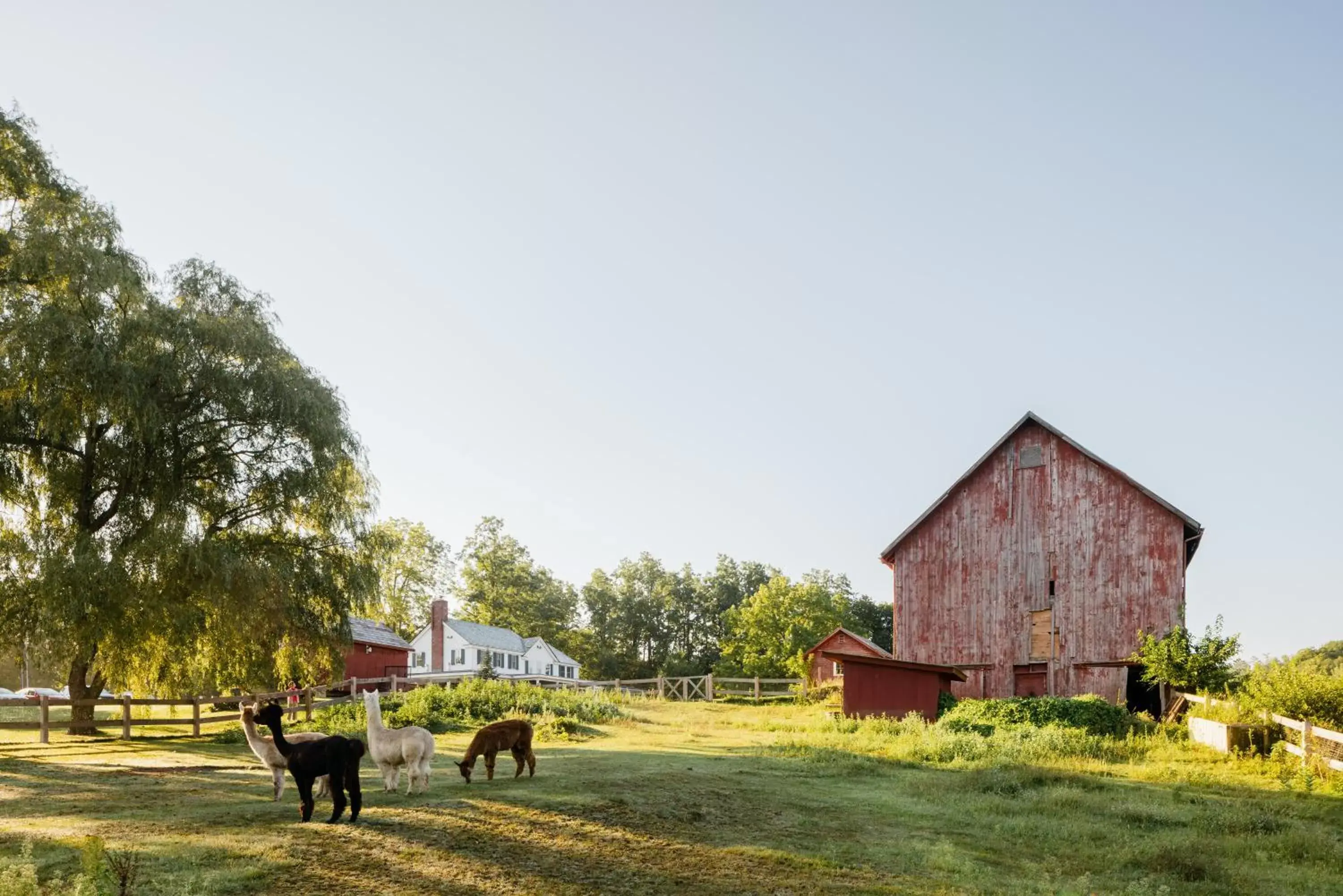Property building in Hill Farm Inn - Manchester Property building in Hill Farm Inn - Manchester