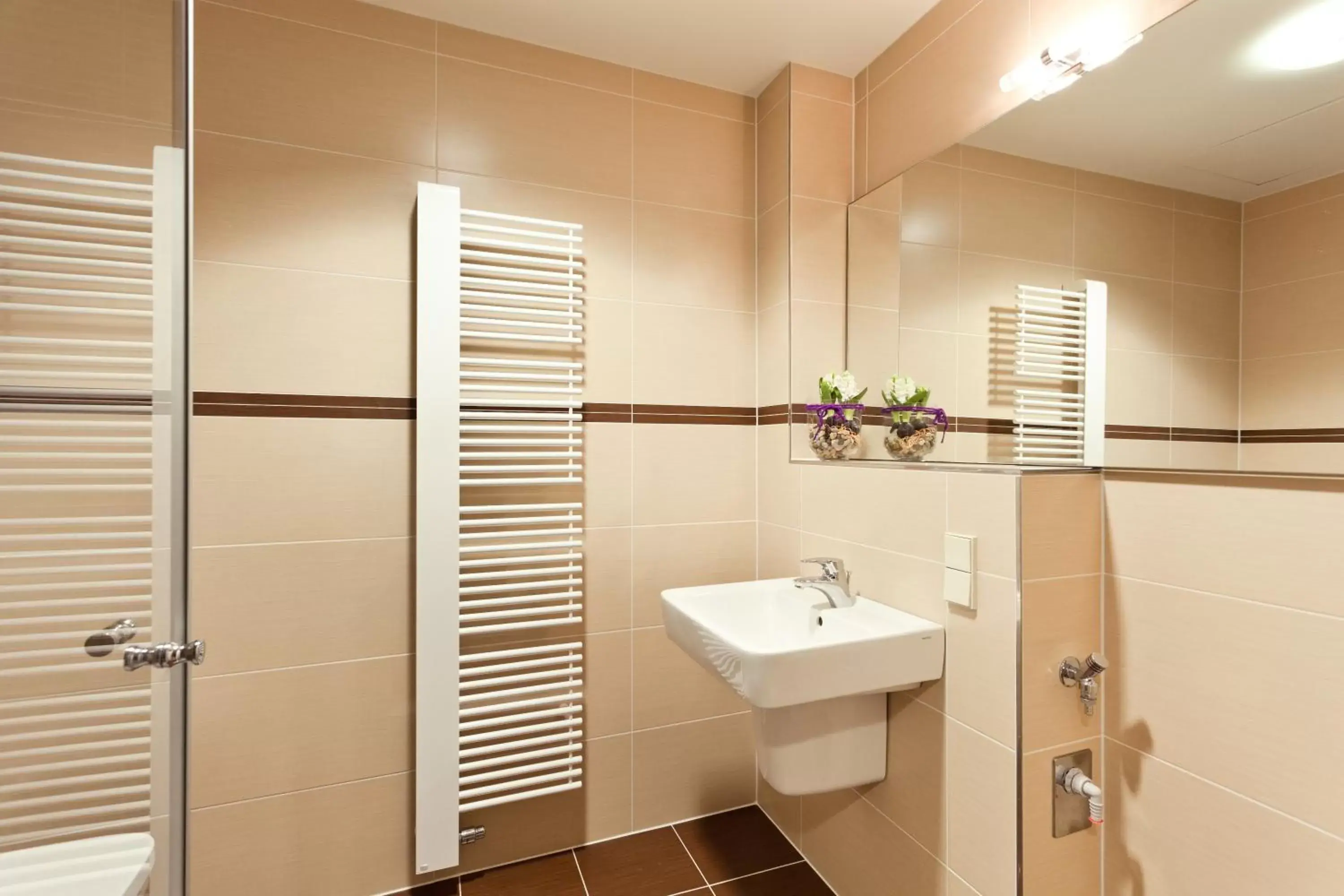 Shower, Bathroom in Aparthotel Am Schloss