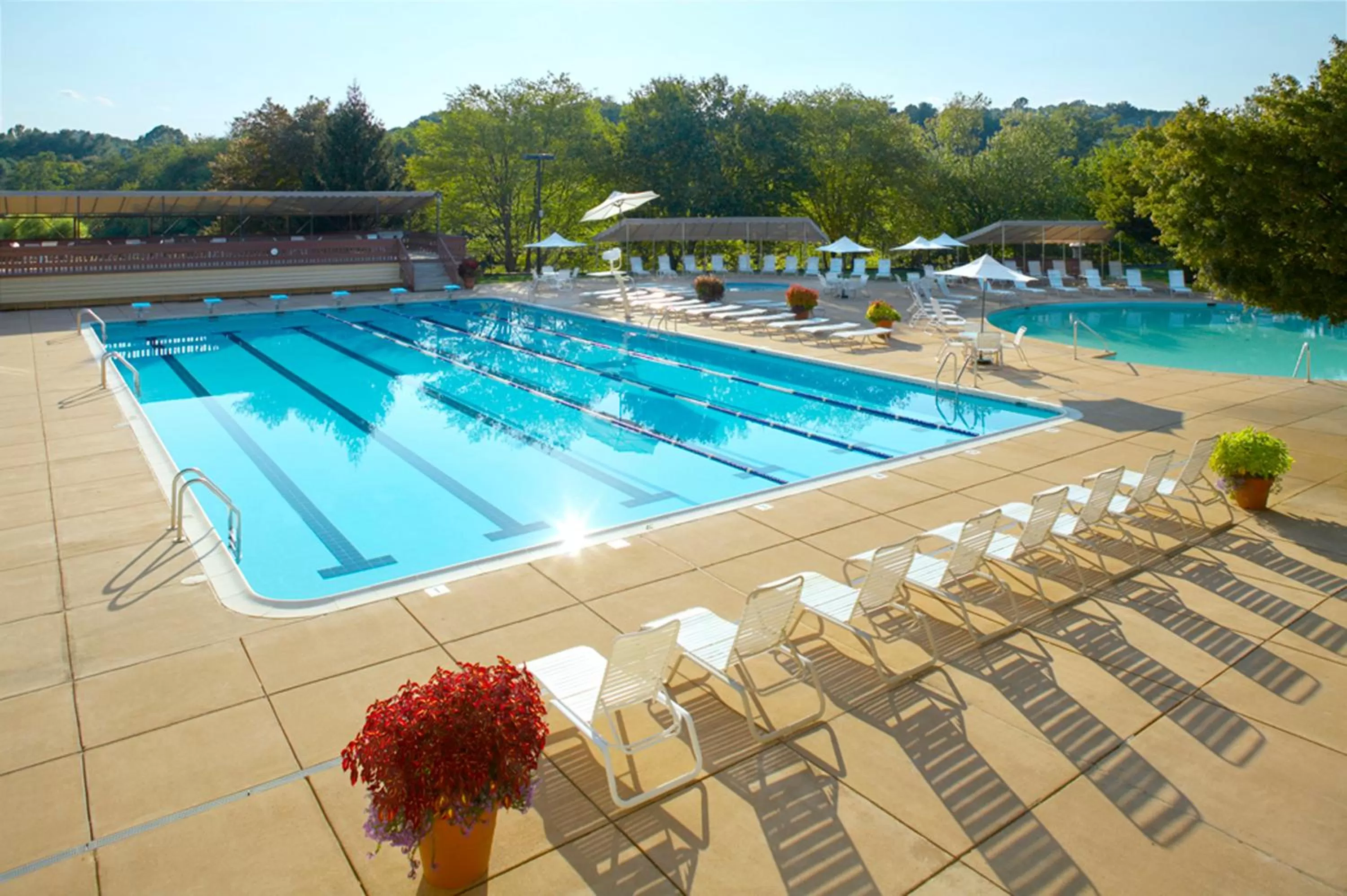 Swimming pool in Boar's Head Resort