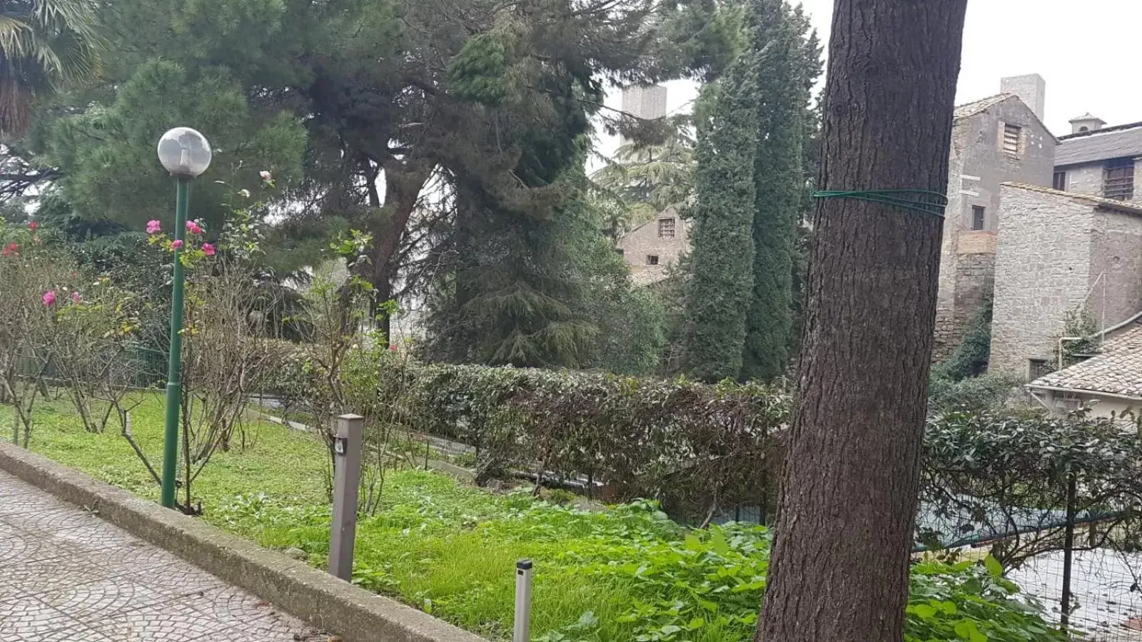 Garden in Nazareth Residence