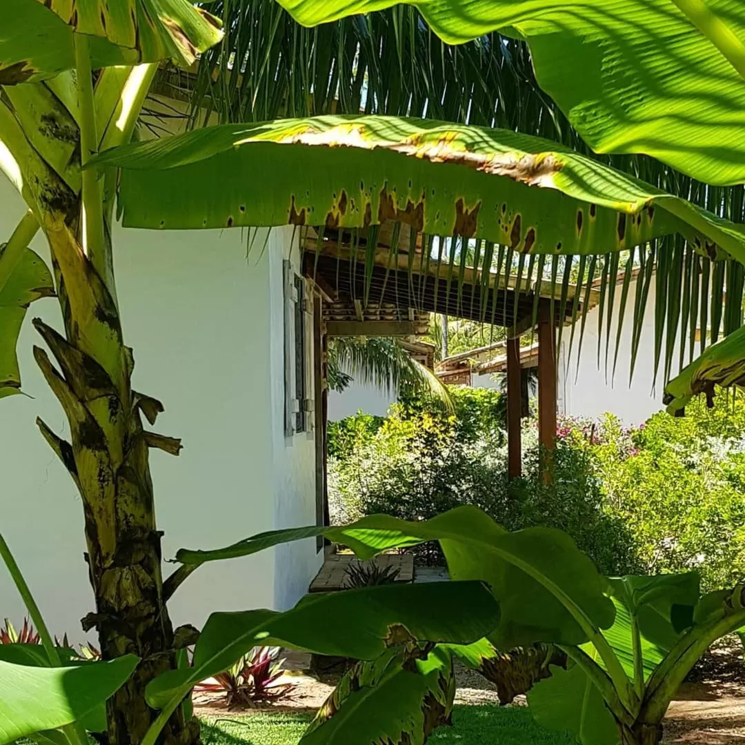 Garden in Pousada Villages Boutique Hotel - 150m da Praia da Laje