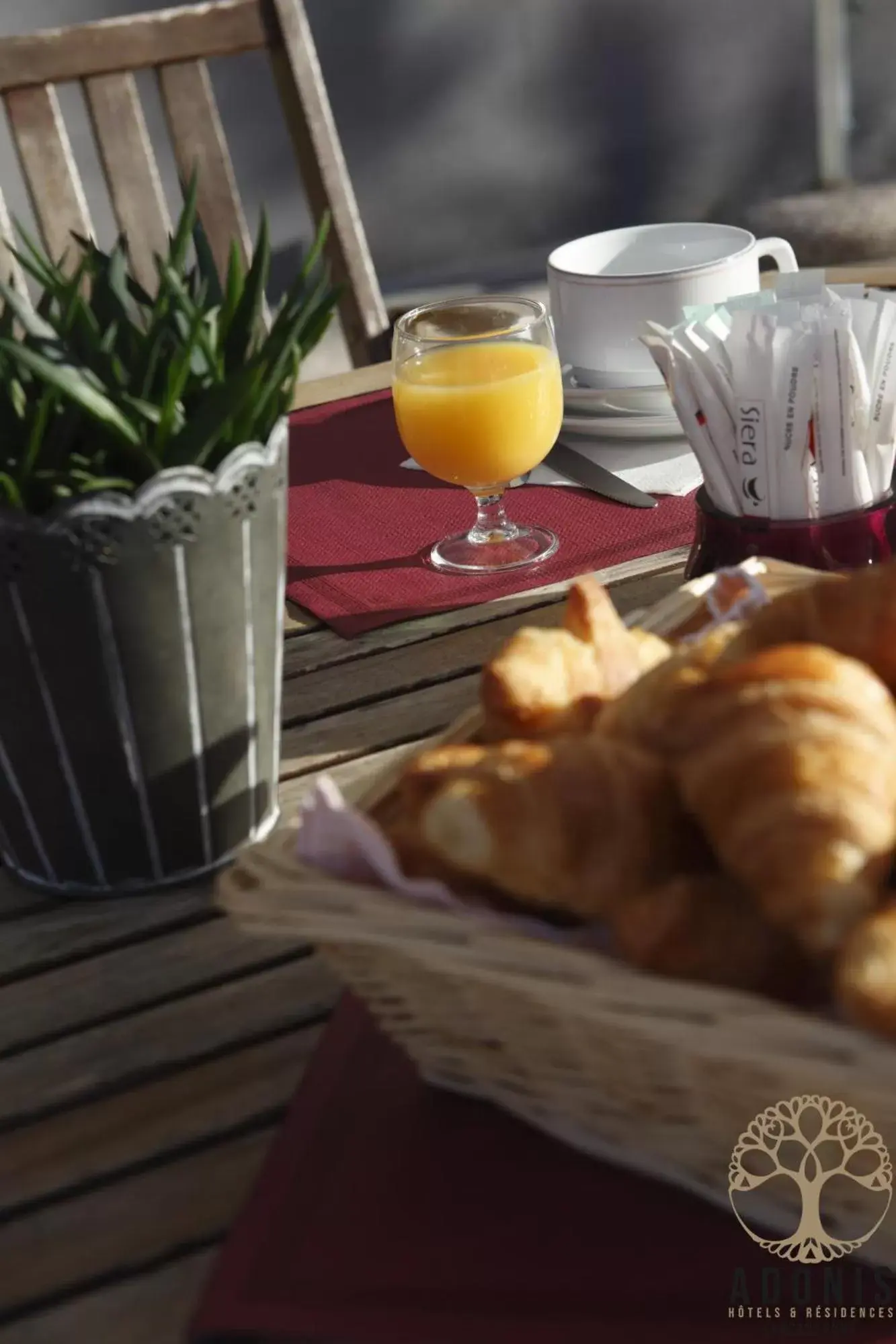 Breakfast in Adonis Carcassonne