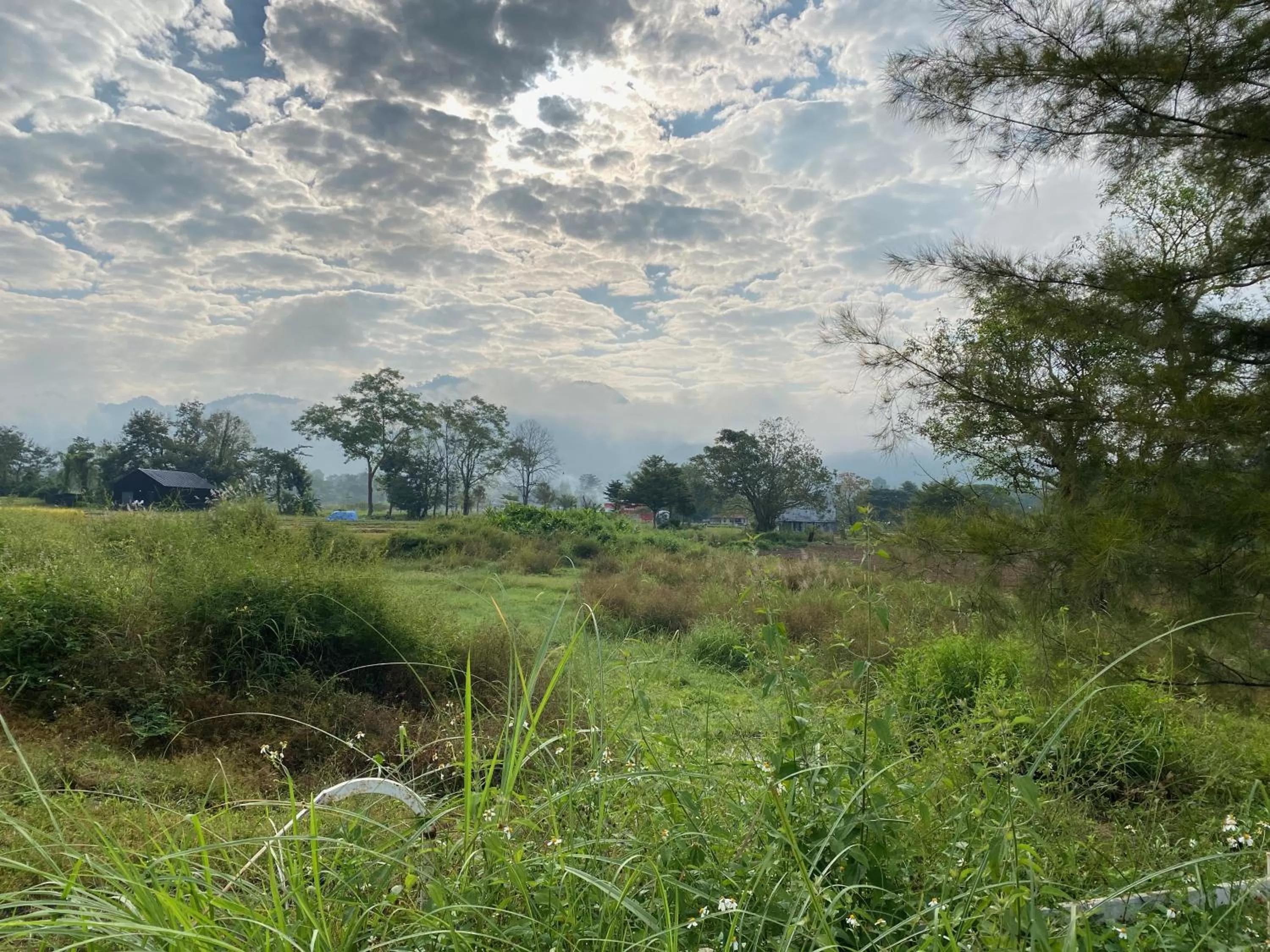 Neighbourhood in Pura Vida Pai Resort