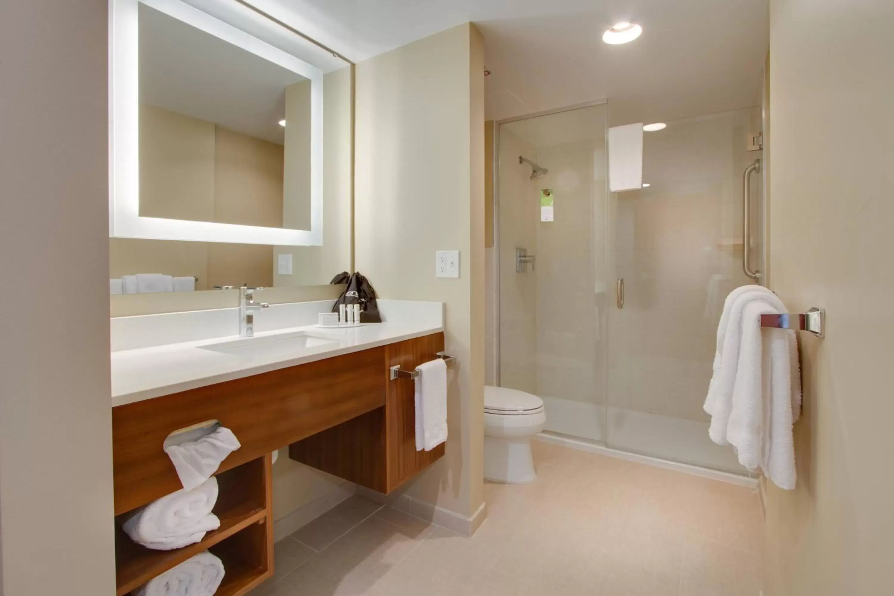 Bathroom in SpringHill Suites by Marriott Orlando Lake Buena Vista South