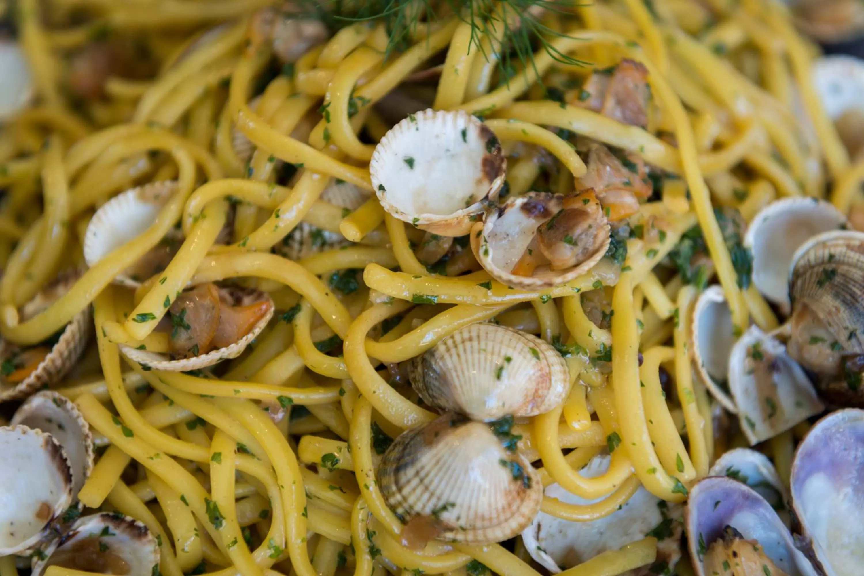 Restaurant/places to eat in Hôtel Aux Vieux Remparts, The Originals Relais