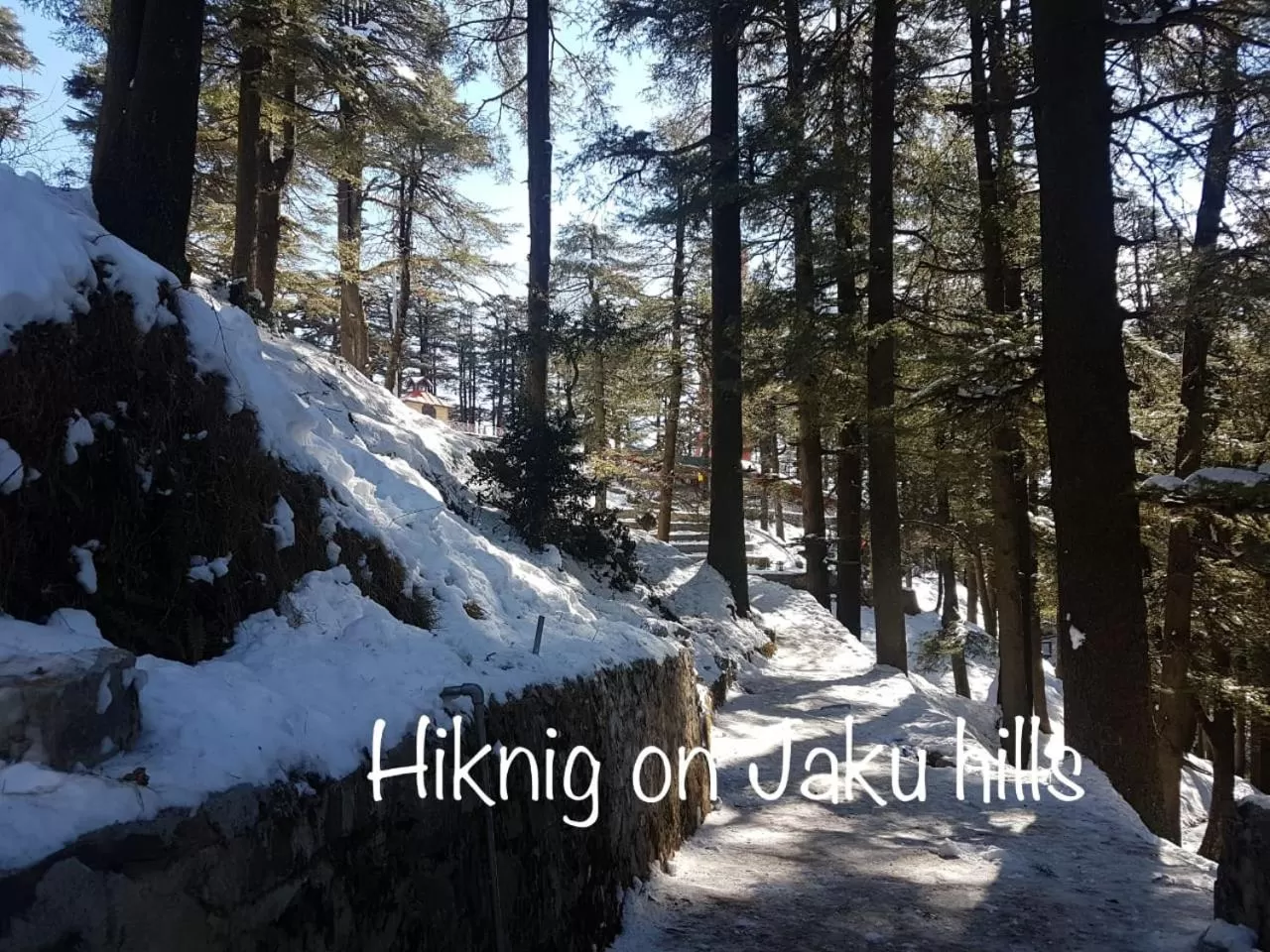 Nearby landmark, Winter in Sai Cottage Shimla