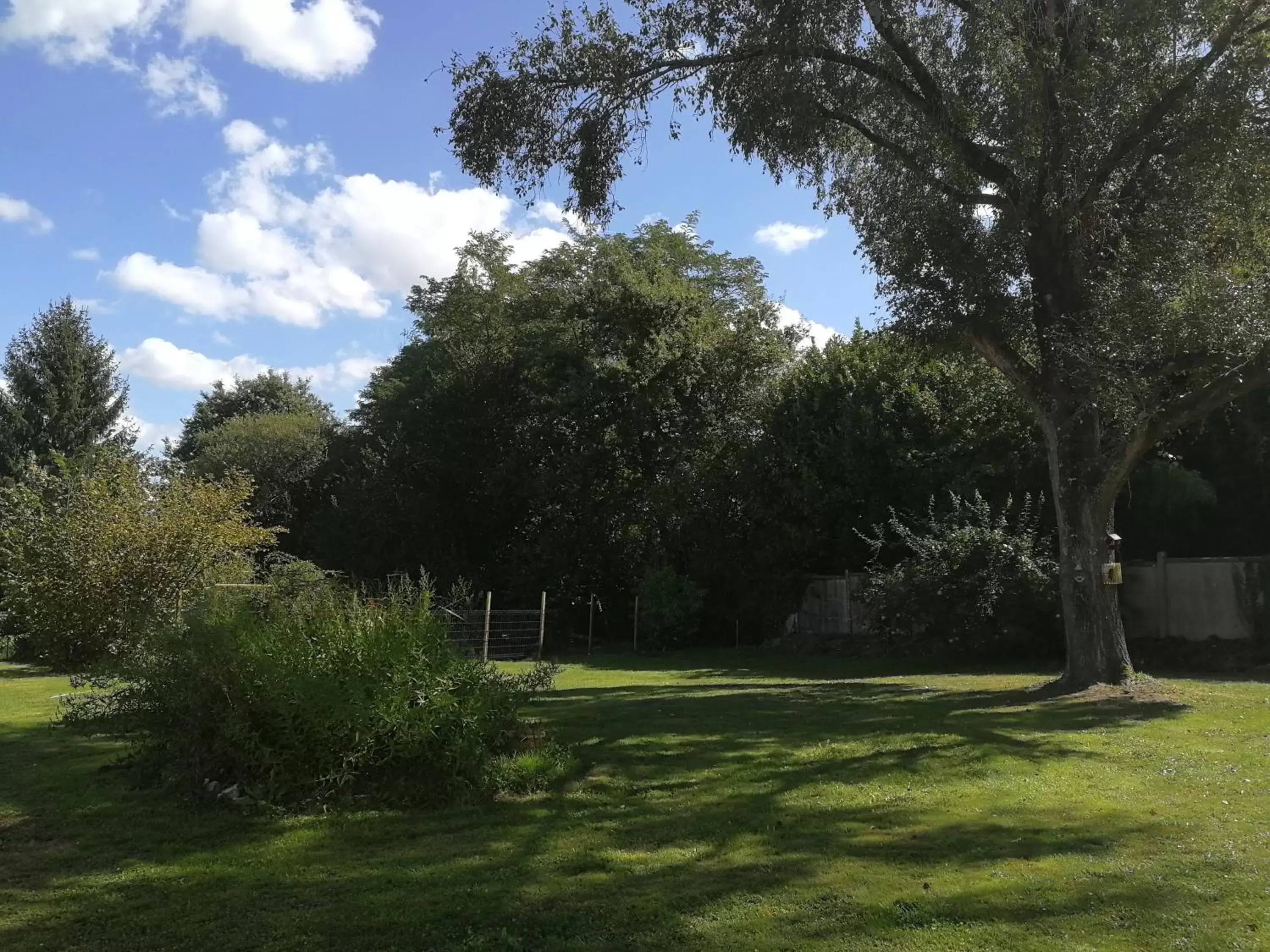 Garden in La Petite Source