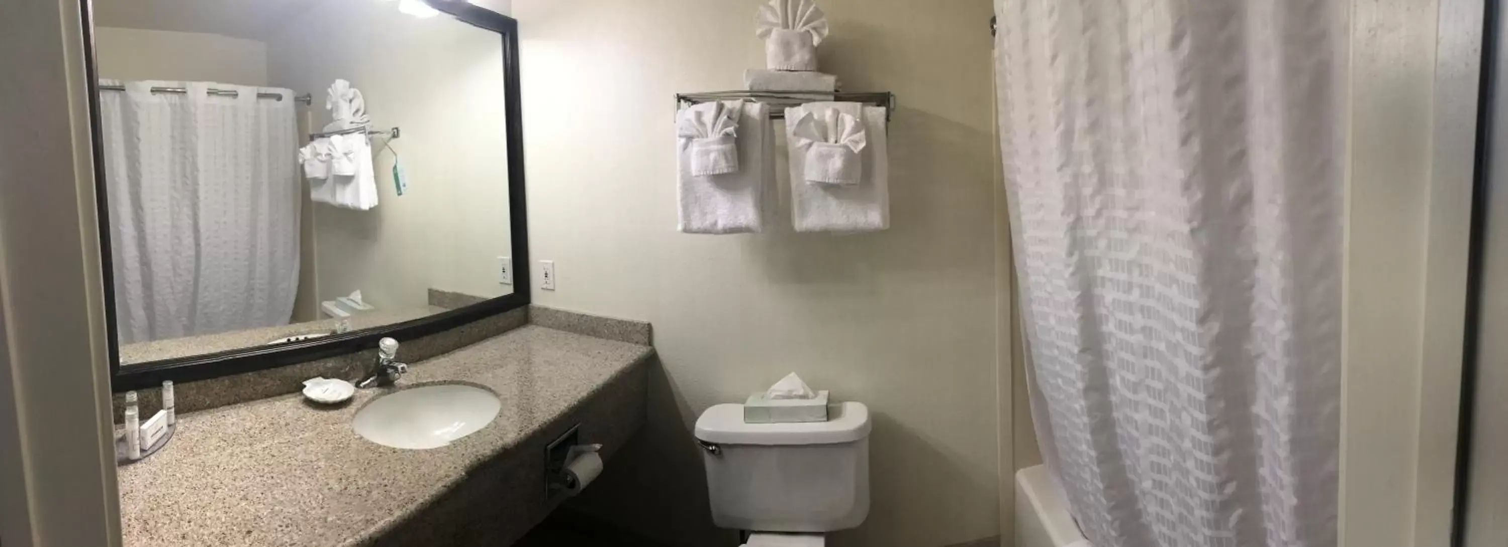 Bathroom in Best Western Plus Villa Del Lago Inn