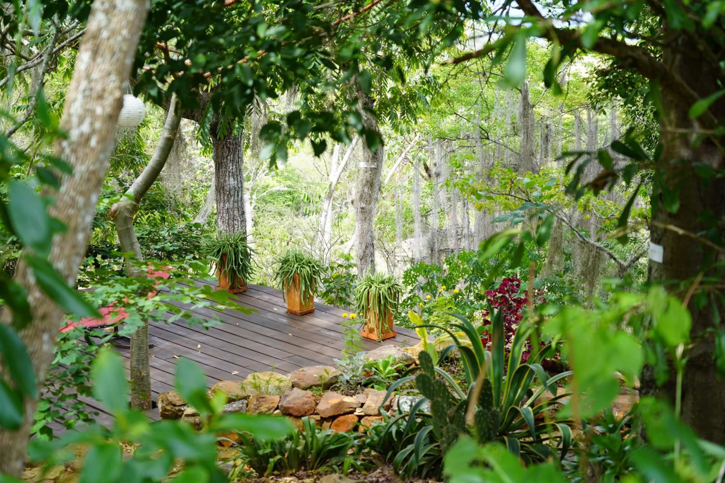 Garden in El Paraiso - B&B Finca San Vicente