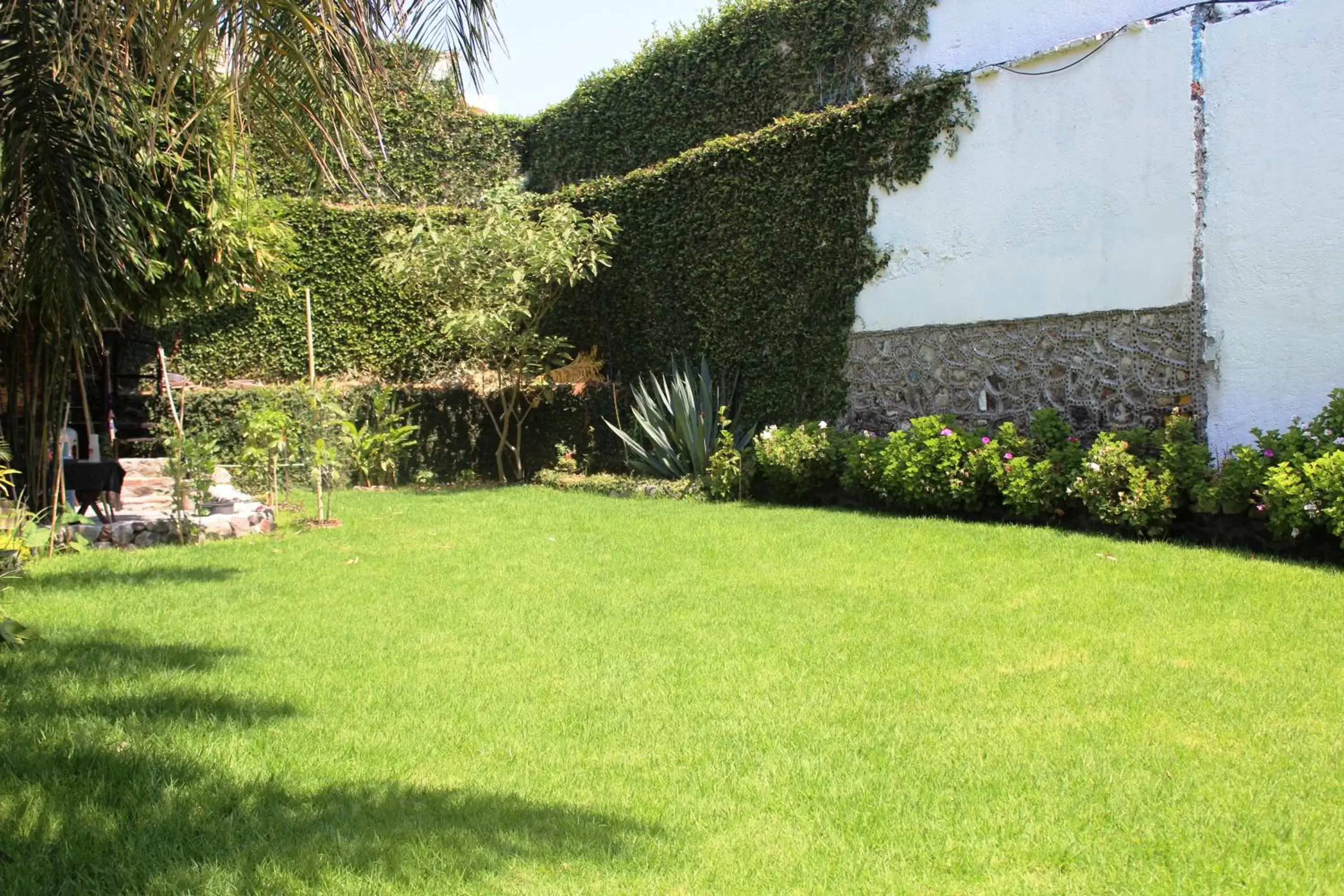 Garden in Hotel Vitorina