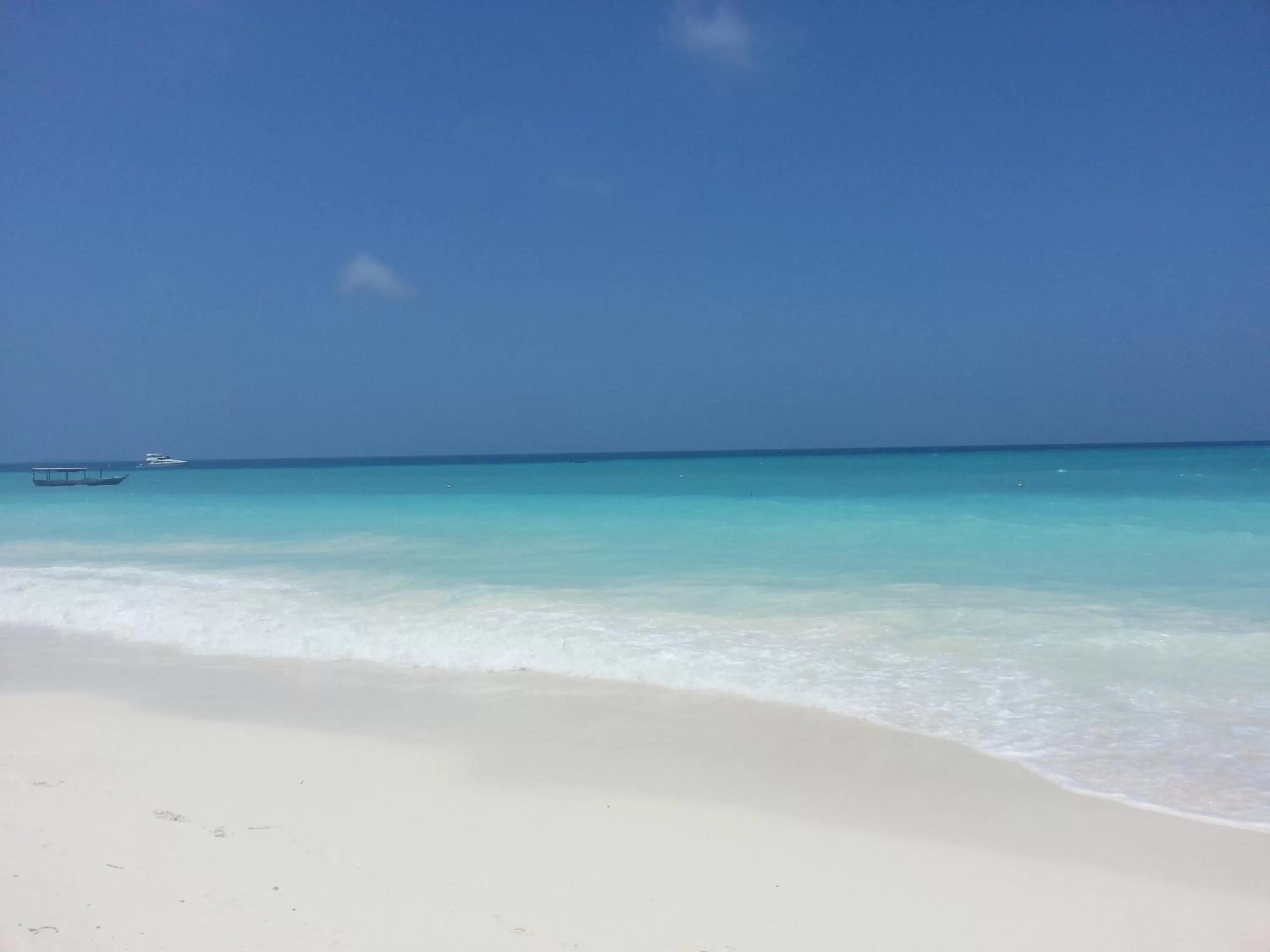 Summer in Ebony & Ivory Beach Bungalows