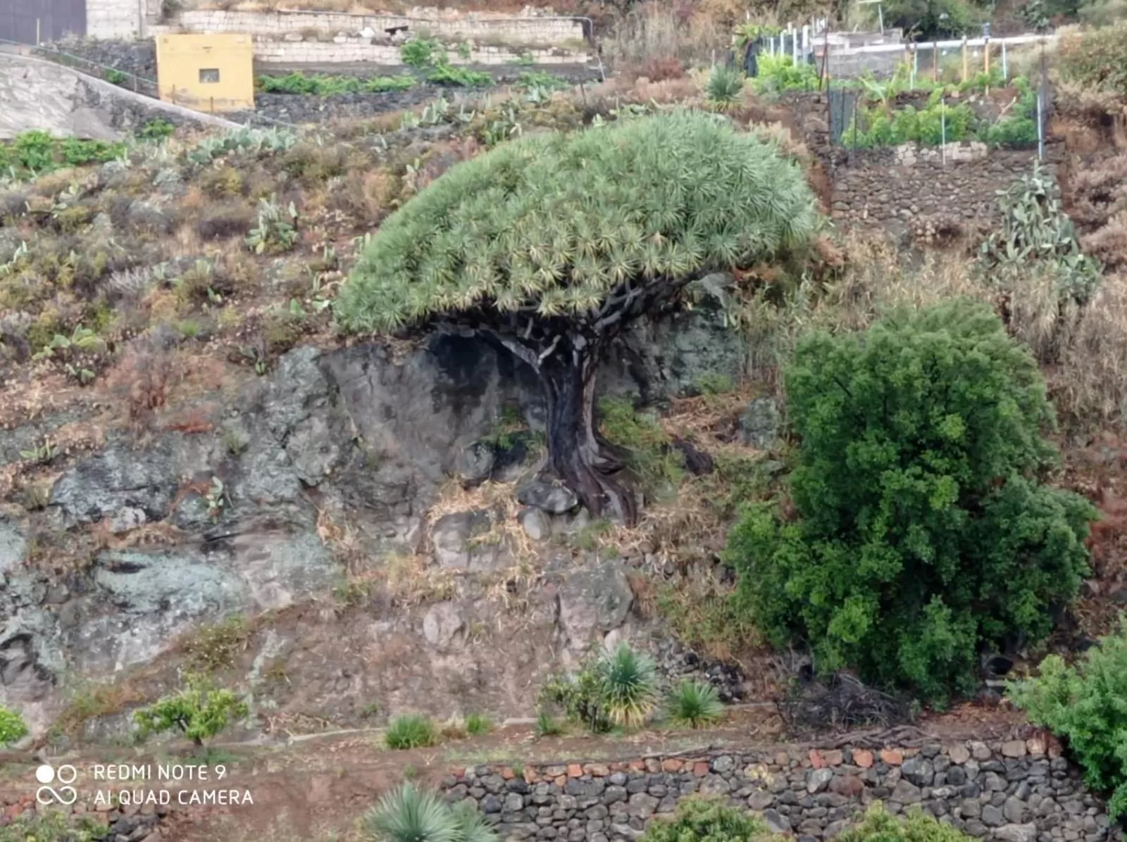 Natural landscape in Hotel Rural La Raya 1866